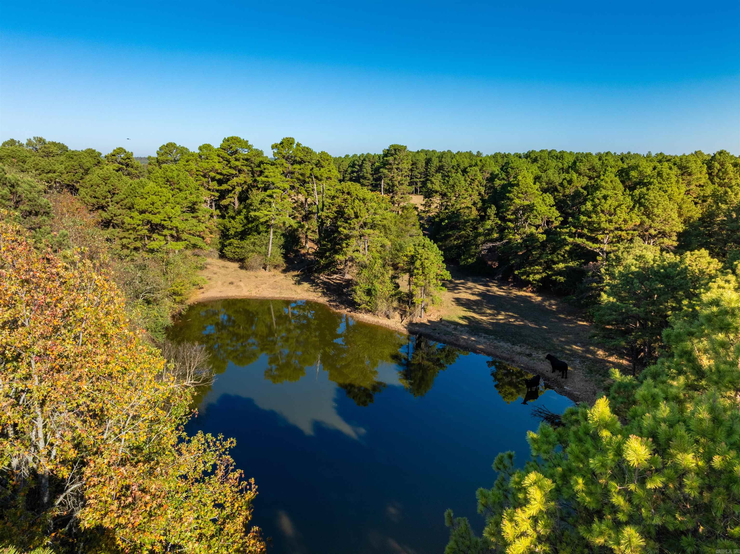 Photo 8 - Vacant Land for sale – 2079  Union Hill Rd   Bradford, AR