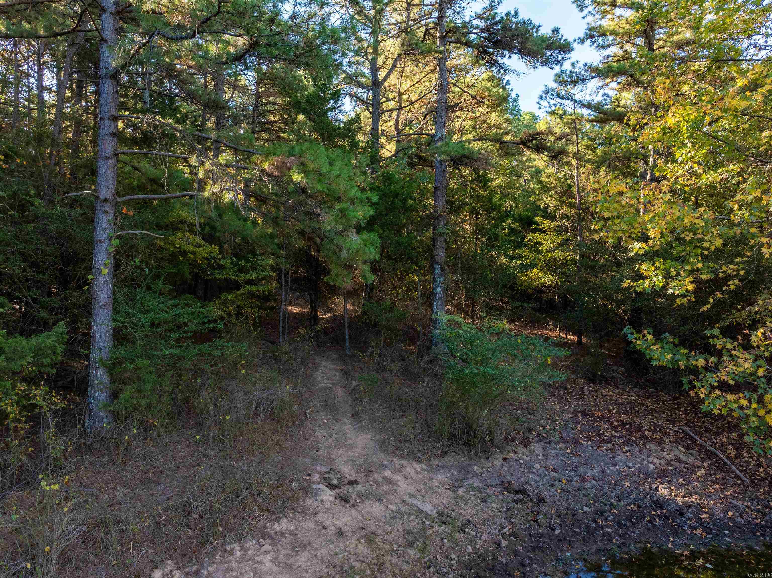 Photo 9 - Vacant Land for sale – 2079  Union Hill Rd   Bradford, AR