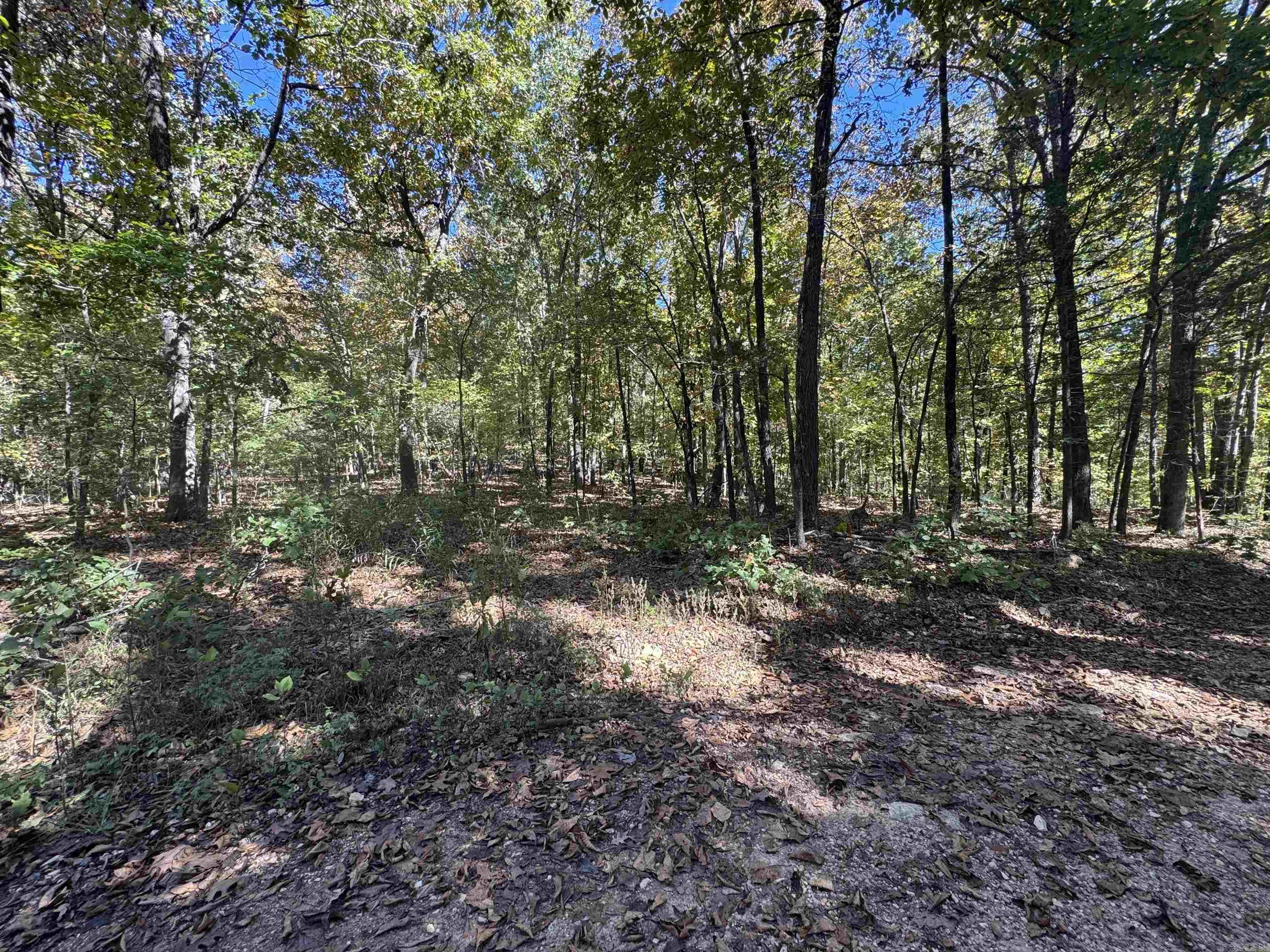 Vacant Land for sale – 0  River Trace   Hardy, AR