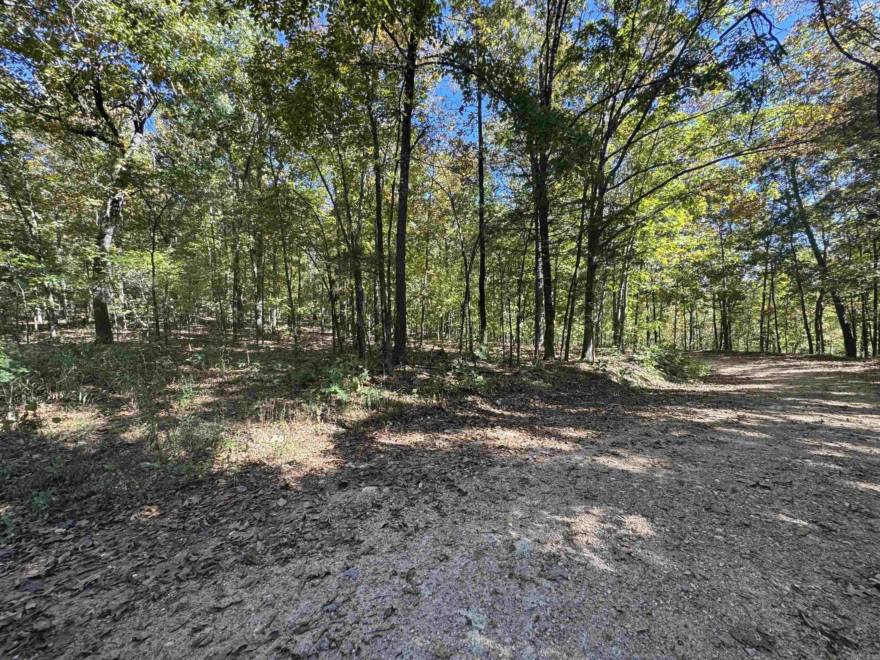 Photo 2 - Vacant Land for sale – 0  River Trace   Hardy, AR