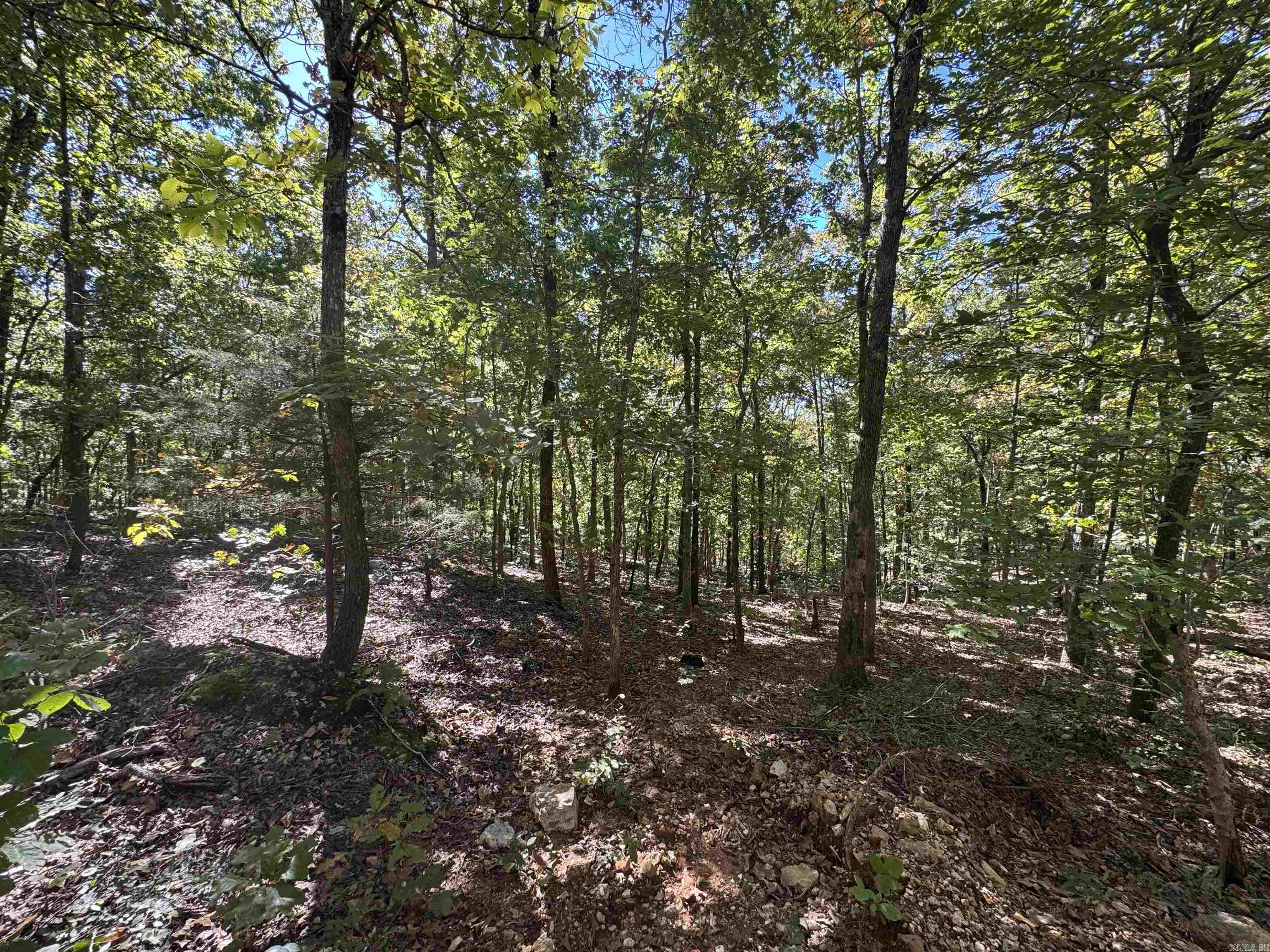 Photo 12 - Vacant Land for sale – 0  River Trace   Hardy, AR