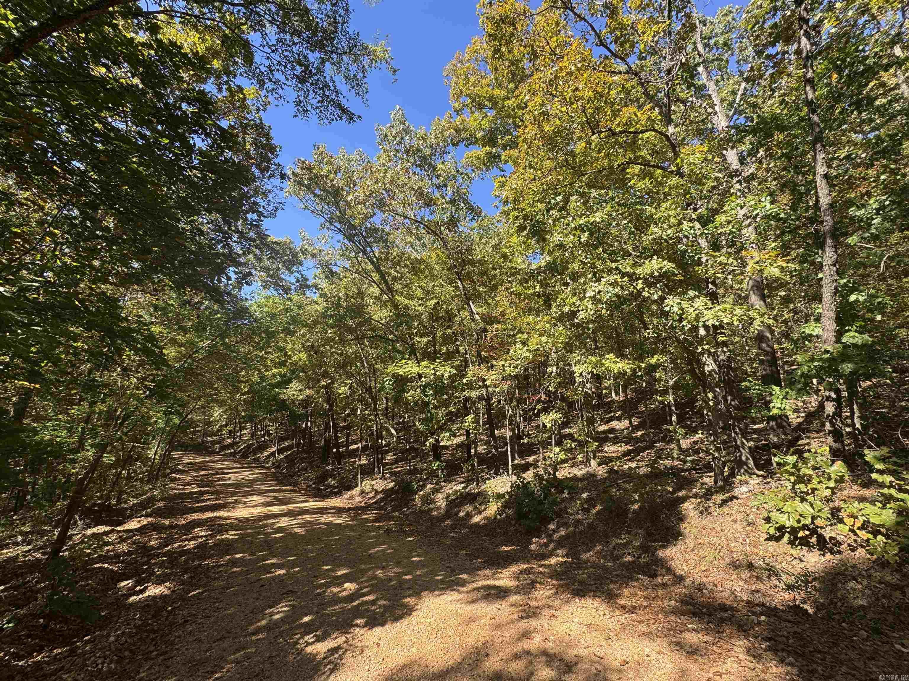 Photo 13 - Vacant Land for sale – 0  River Trace   Hardy, AR