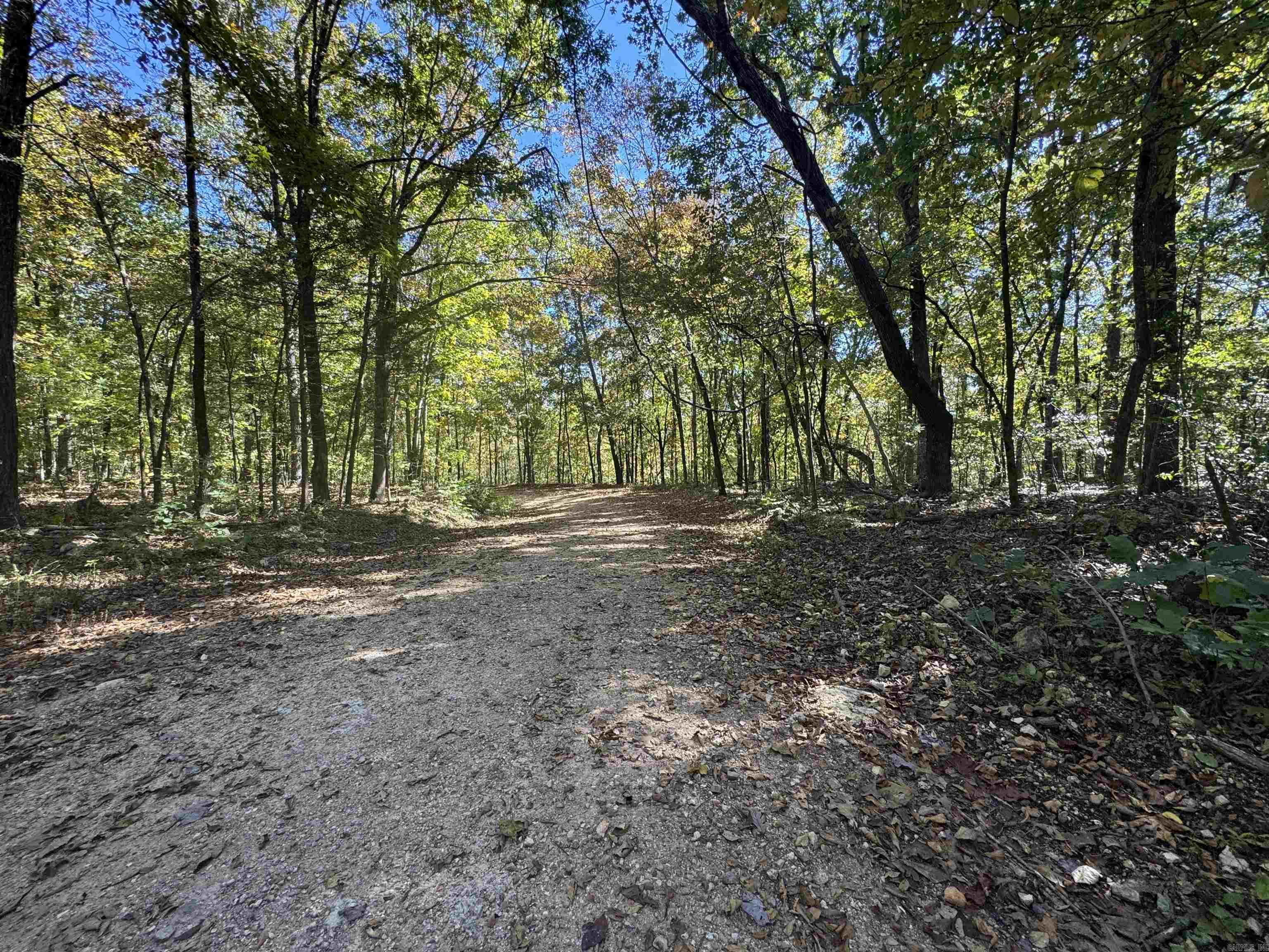 Photo 4 - Vacant Land for sale – 0  River Trace   Hardy, AR