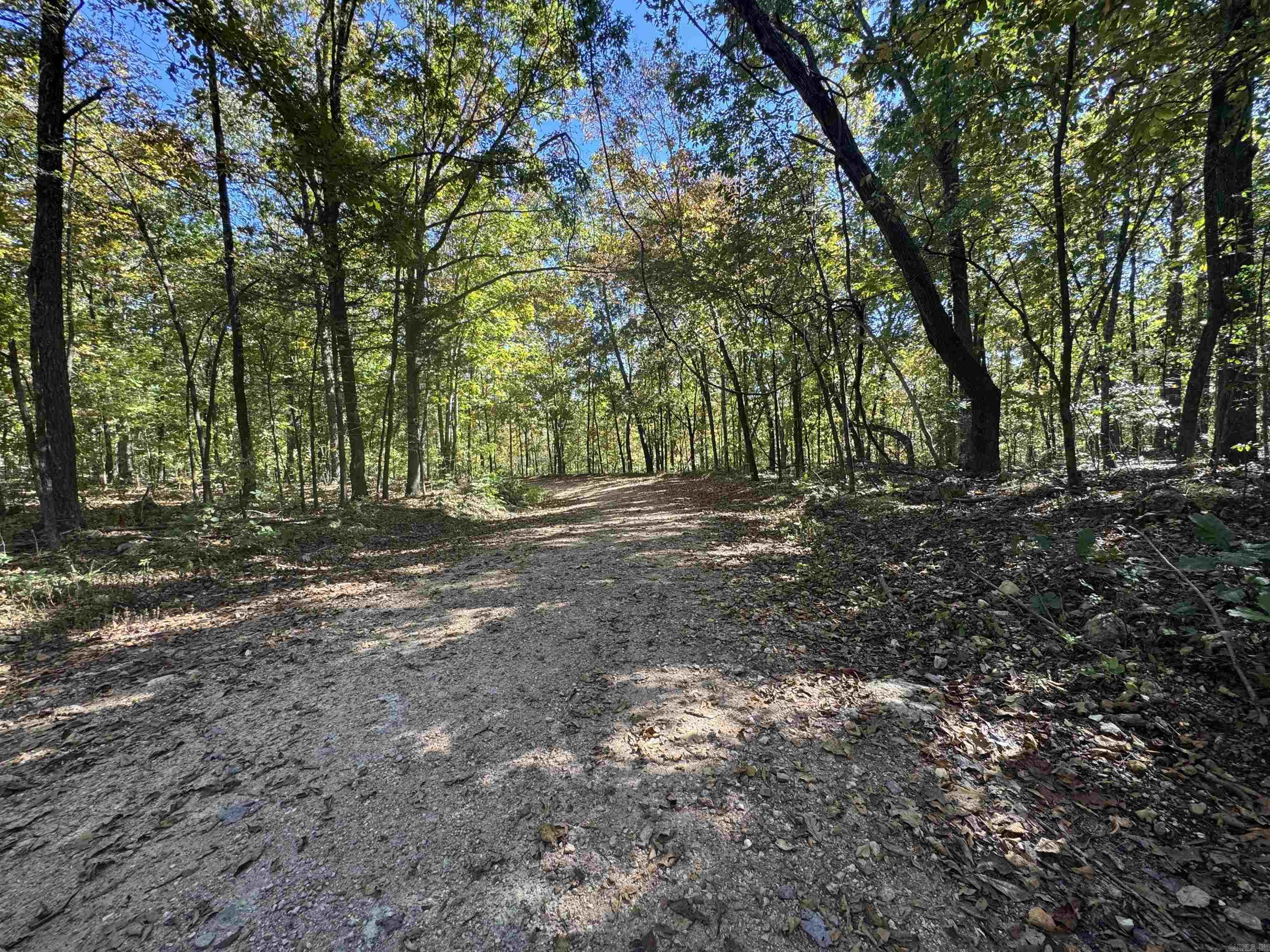 Photo 5 - Vacant Land for sale – 0  River Trace   Hardy, AR