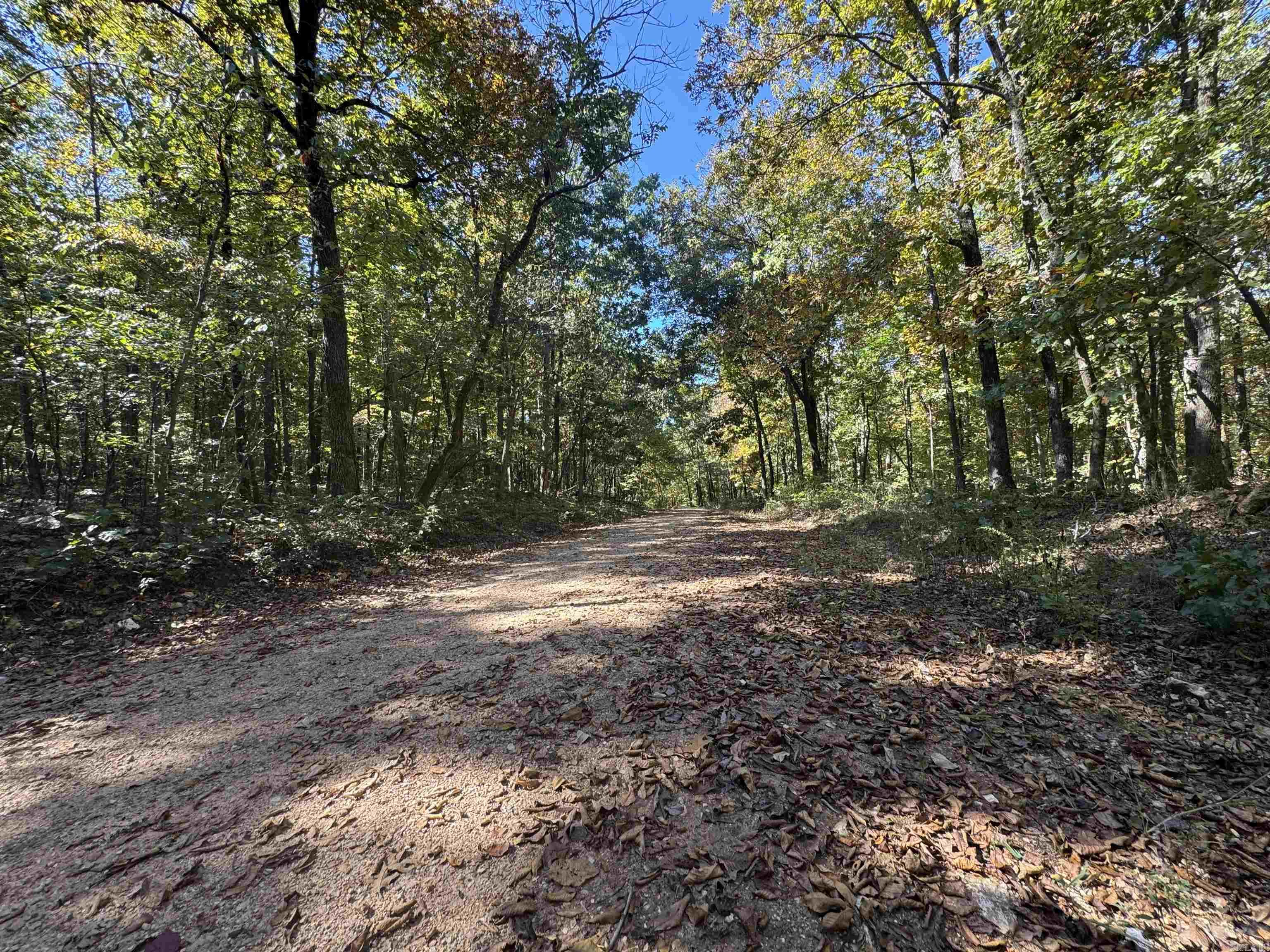 Photo 5 - Vacant Land for sale – 0  River Trace   Hardy, AR