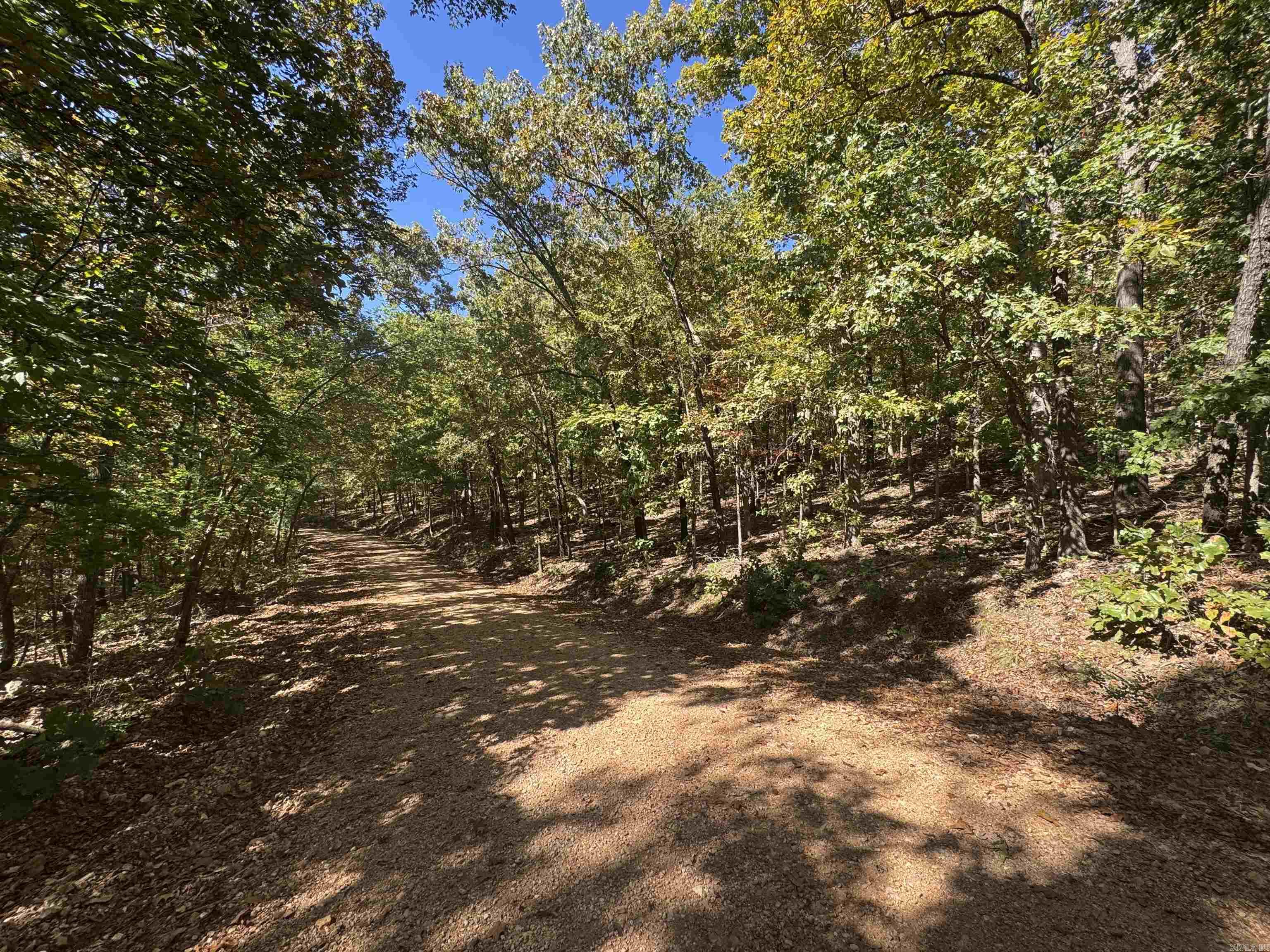 Photo 7 - Vacant Land for sale – 0  River Trace   Hardy, AR