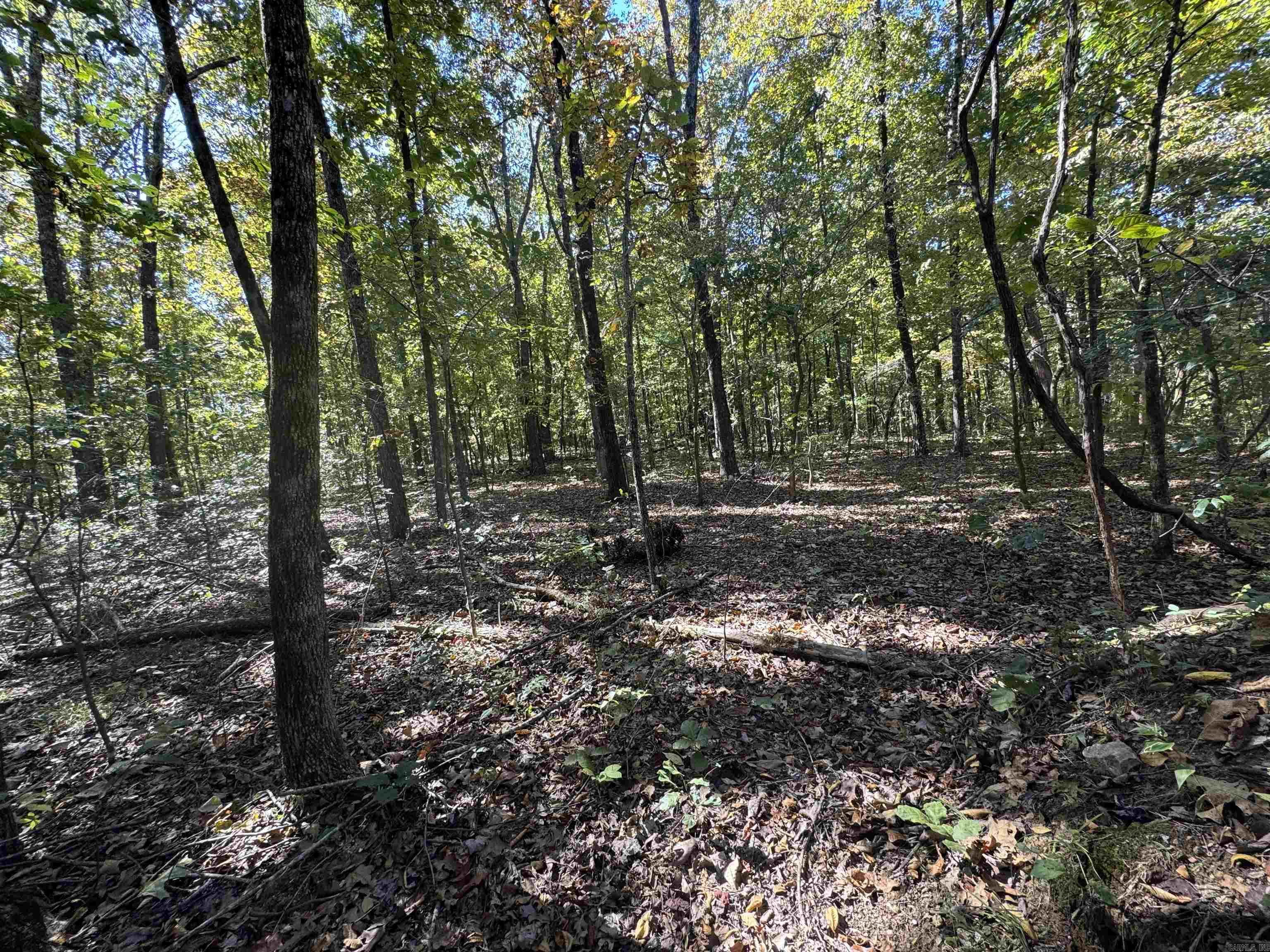 Photo 8 - Vacant Land for sale – 0  River Trace   Hardy, AR