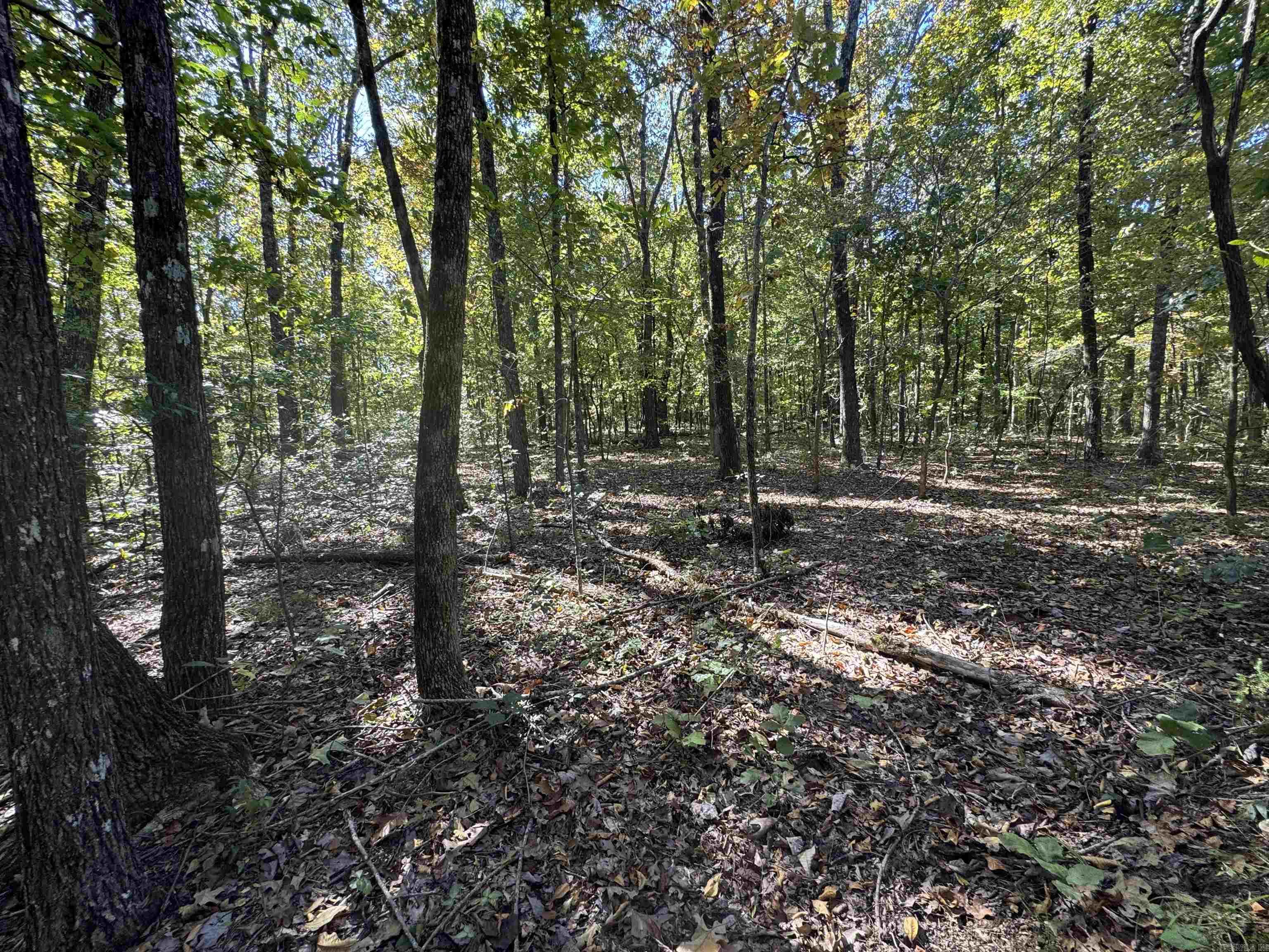 Photo 8 - Vacant Land for sale – 0  River Trace   Hardy, AR