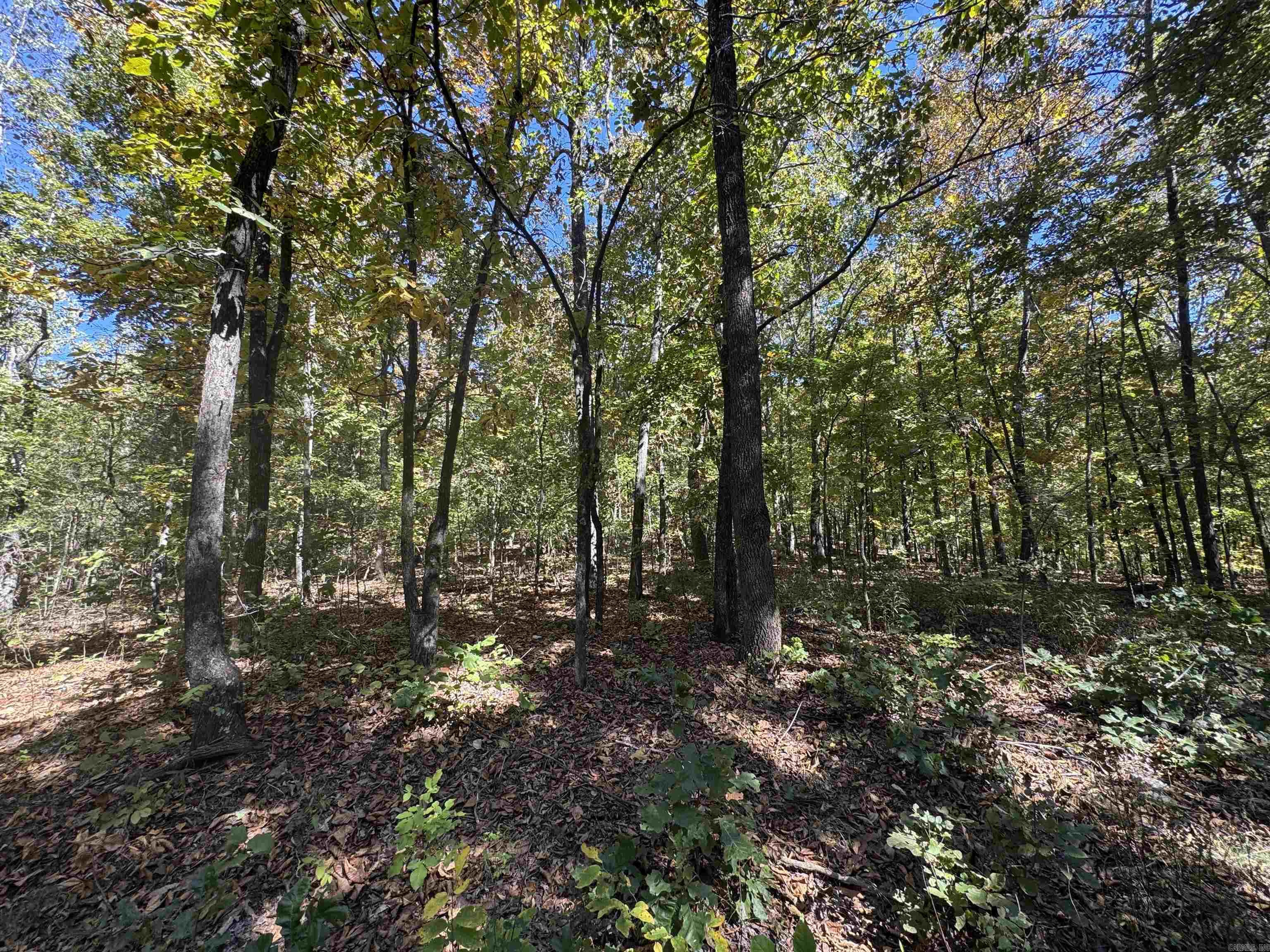 Photo 10 - Vacant Land for sale – 0  River Trace   Hardy, AR