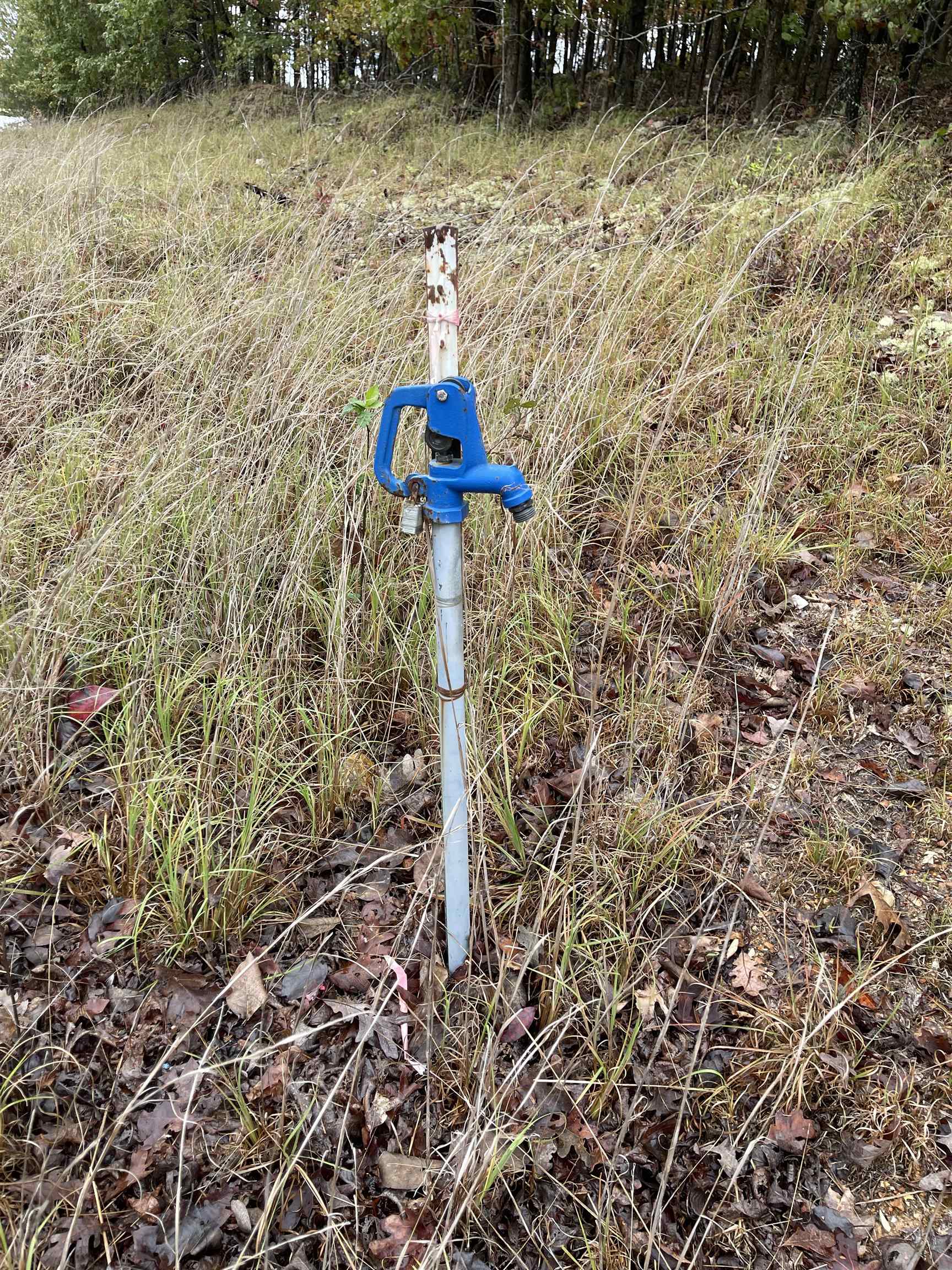 Photo 2 - Vacant Land for sale – 0  Echowood   Viola, AR