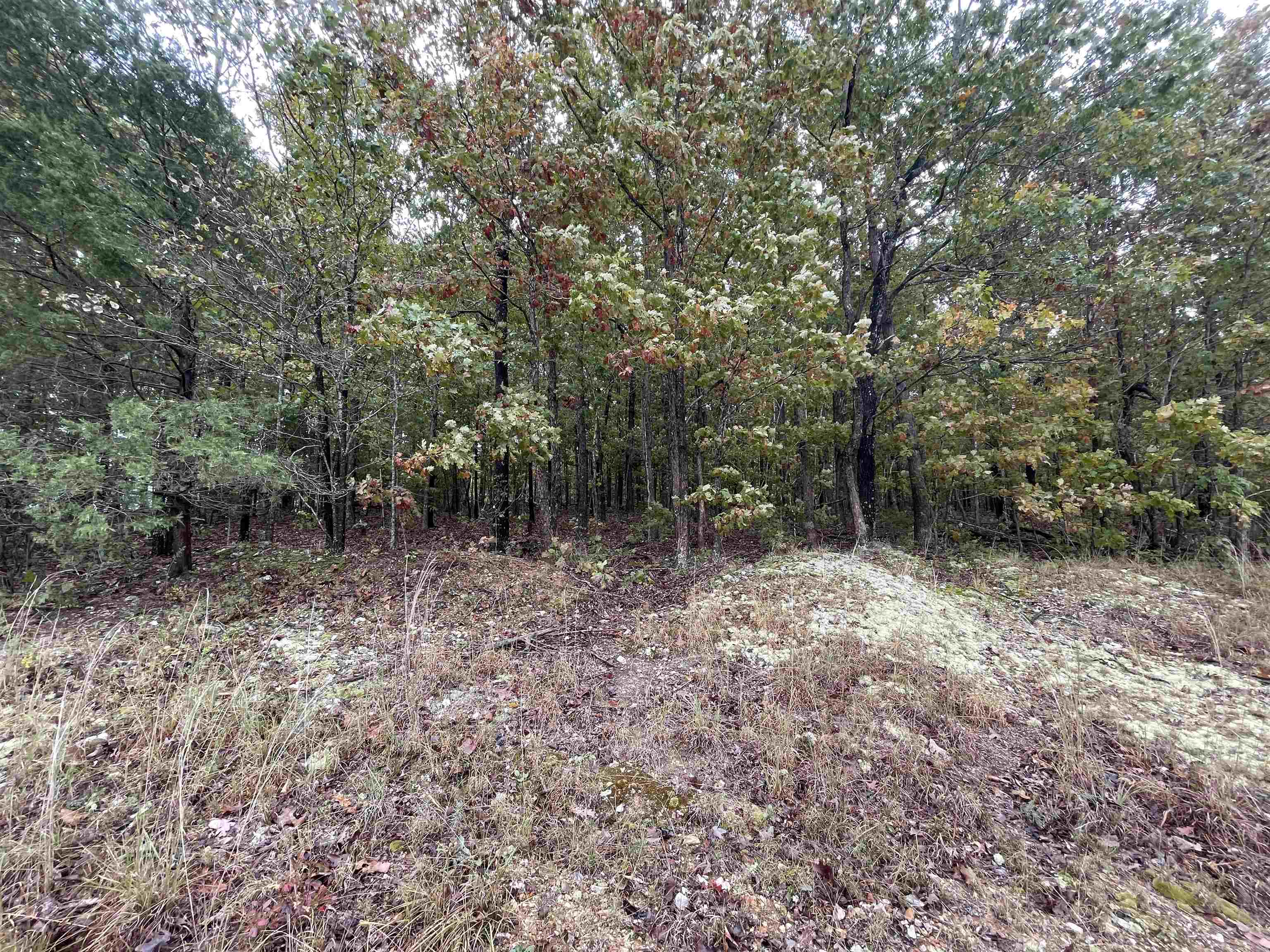 Photo 3 - Vacant Land for sale – 0  Echowood   Viola, AR