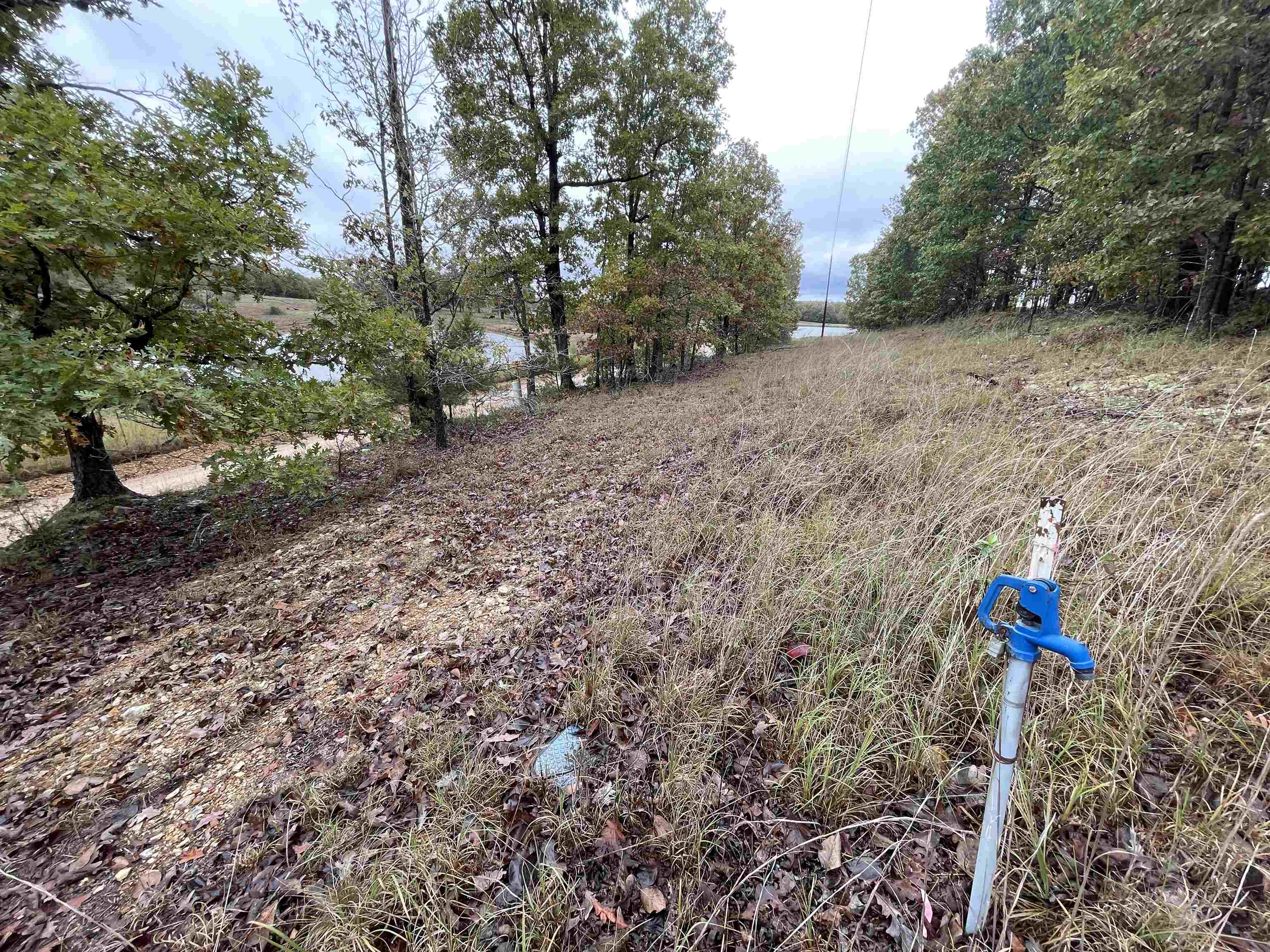 Photo 4 - Vacant Land for sale – 0  Echowood   Viola, AR