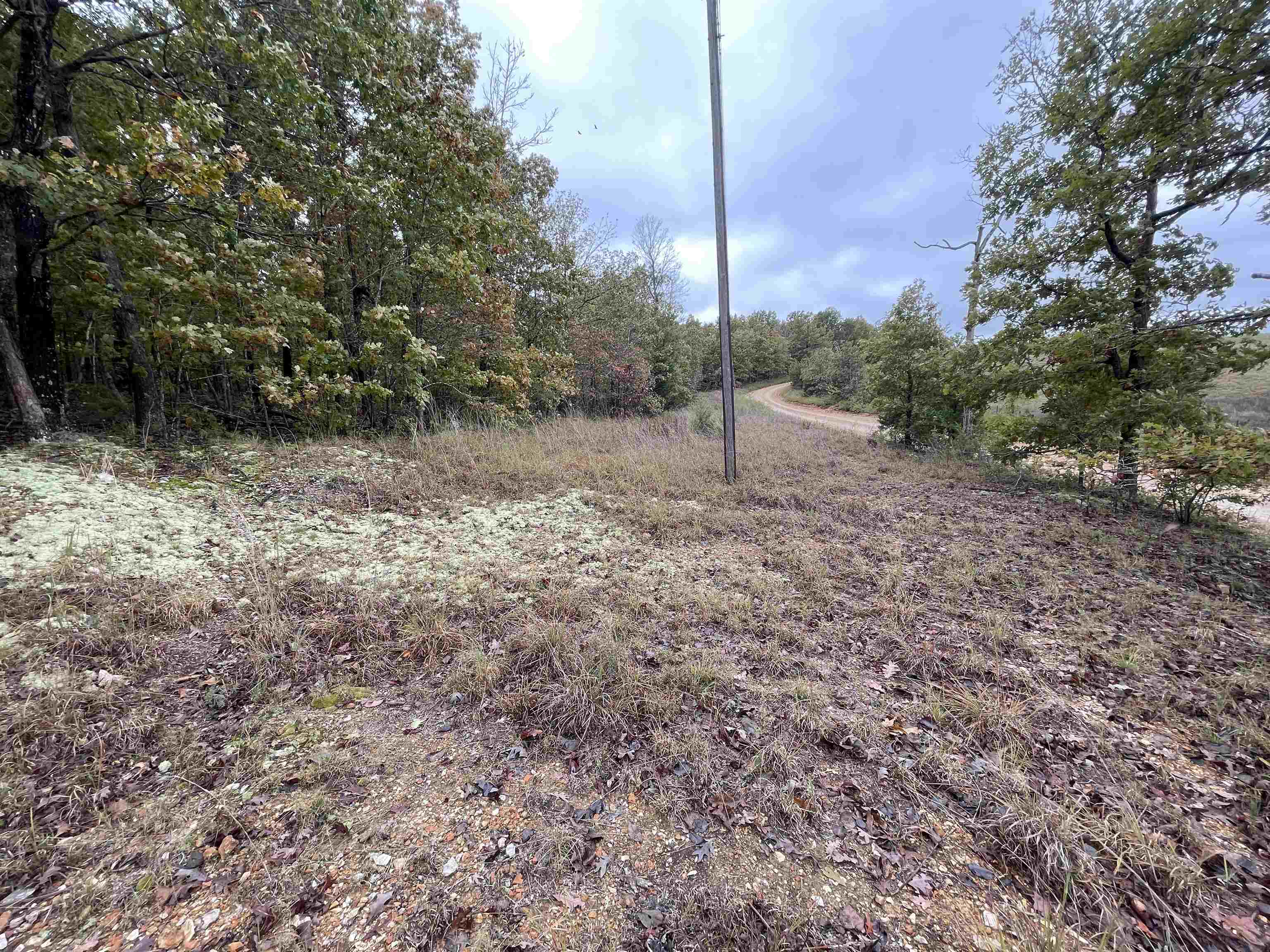 Photo 5 - Vacant Land for sale – 0  Echowood   Viola, AR