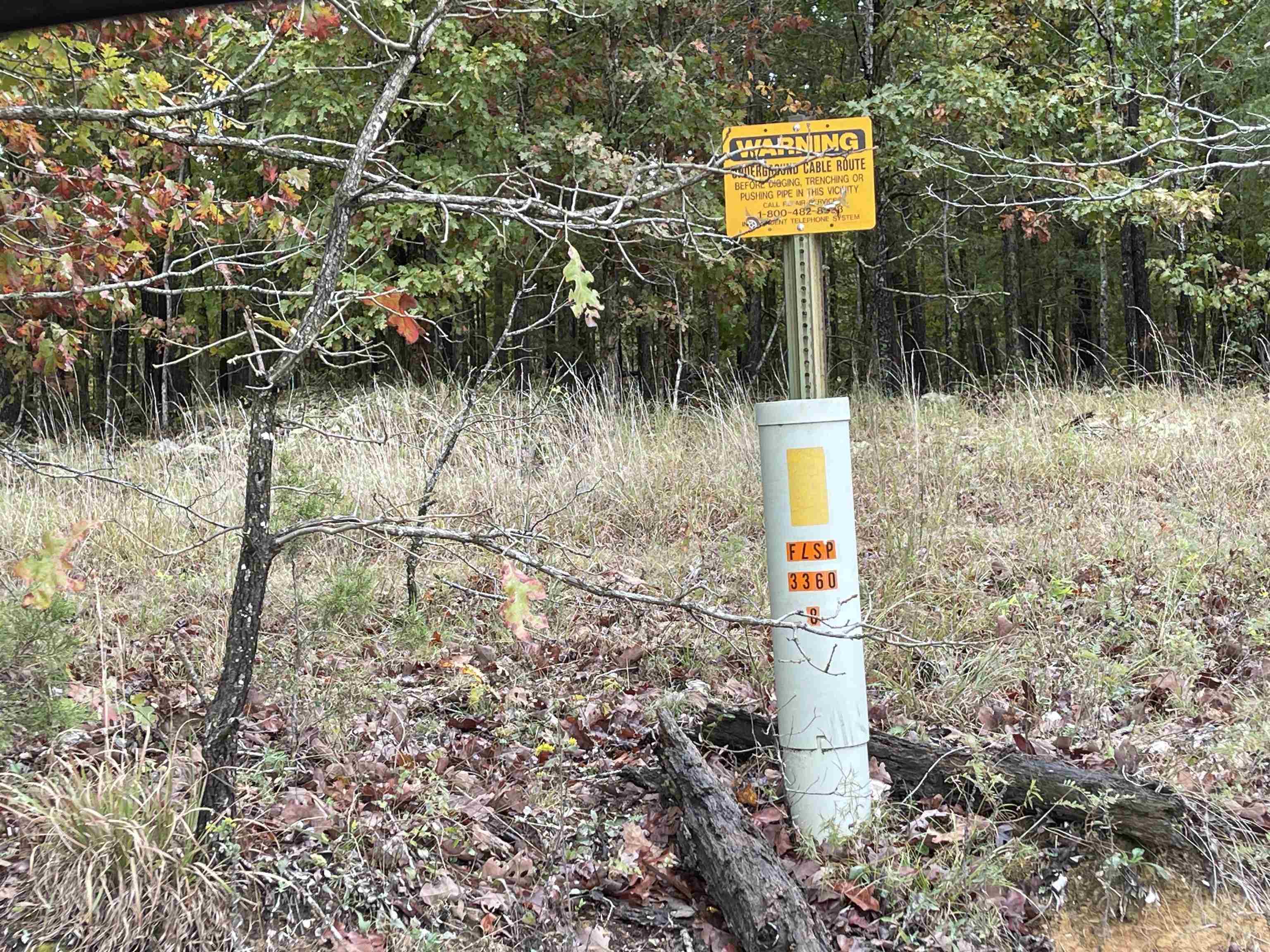 Photo 9 - Vacant Land for sale – 0  Echowood   Viola, AR