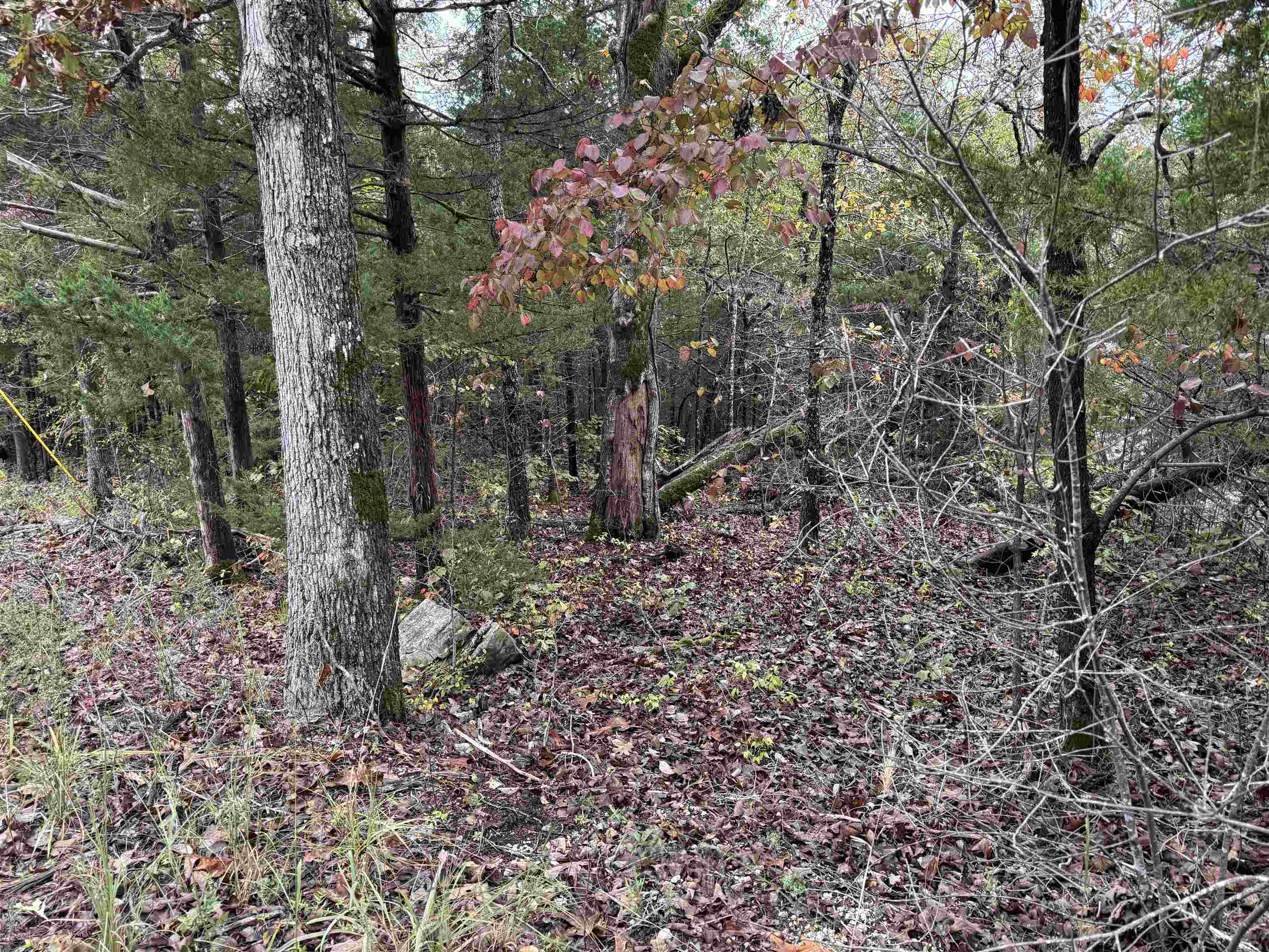 Photo 3 - Vacant Land for sale – 1300  Hummingbird Lane   Horseshoe Bend, AR