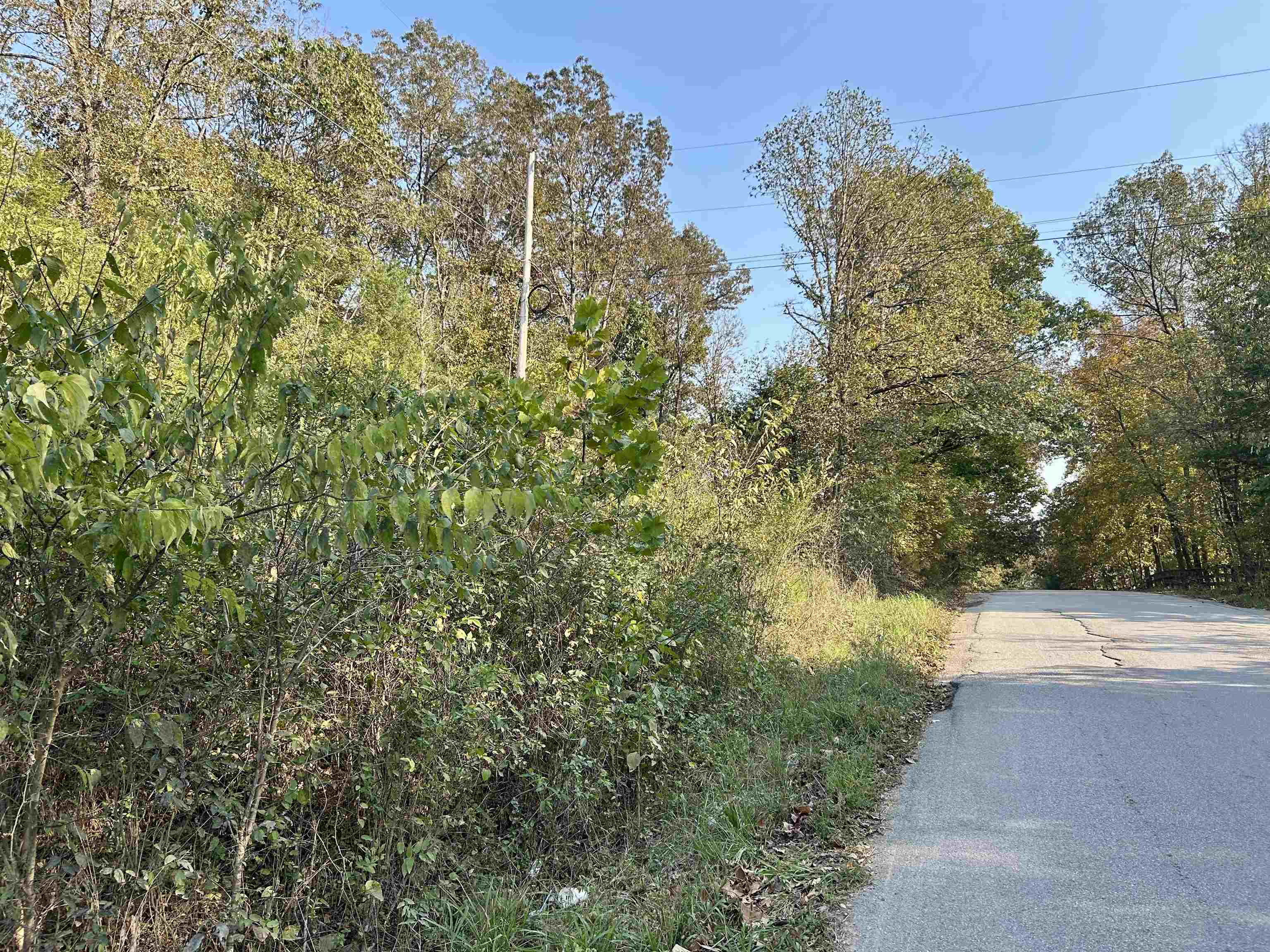 Photo 3 - Vacant Land for sale – TBD  Bluff Rd   Hardy, AR