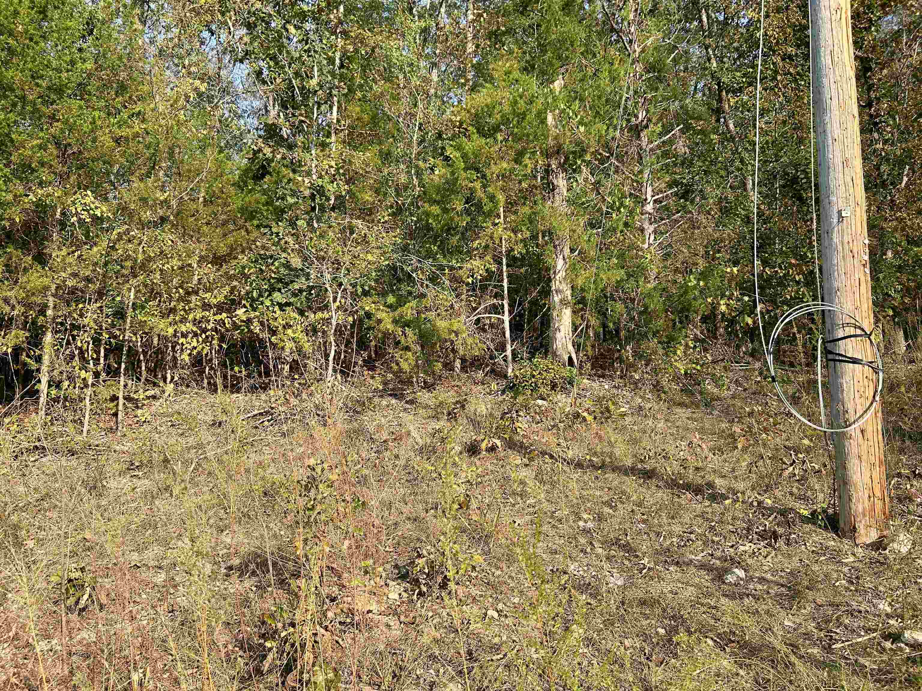 Photo 4 - Vacant Land for sale – TBD  Bluff Rd   Hardy, AR