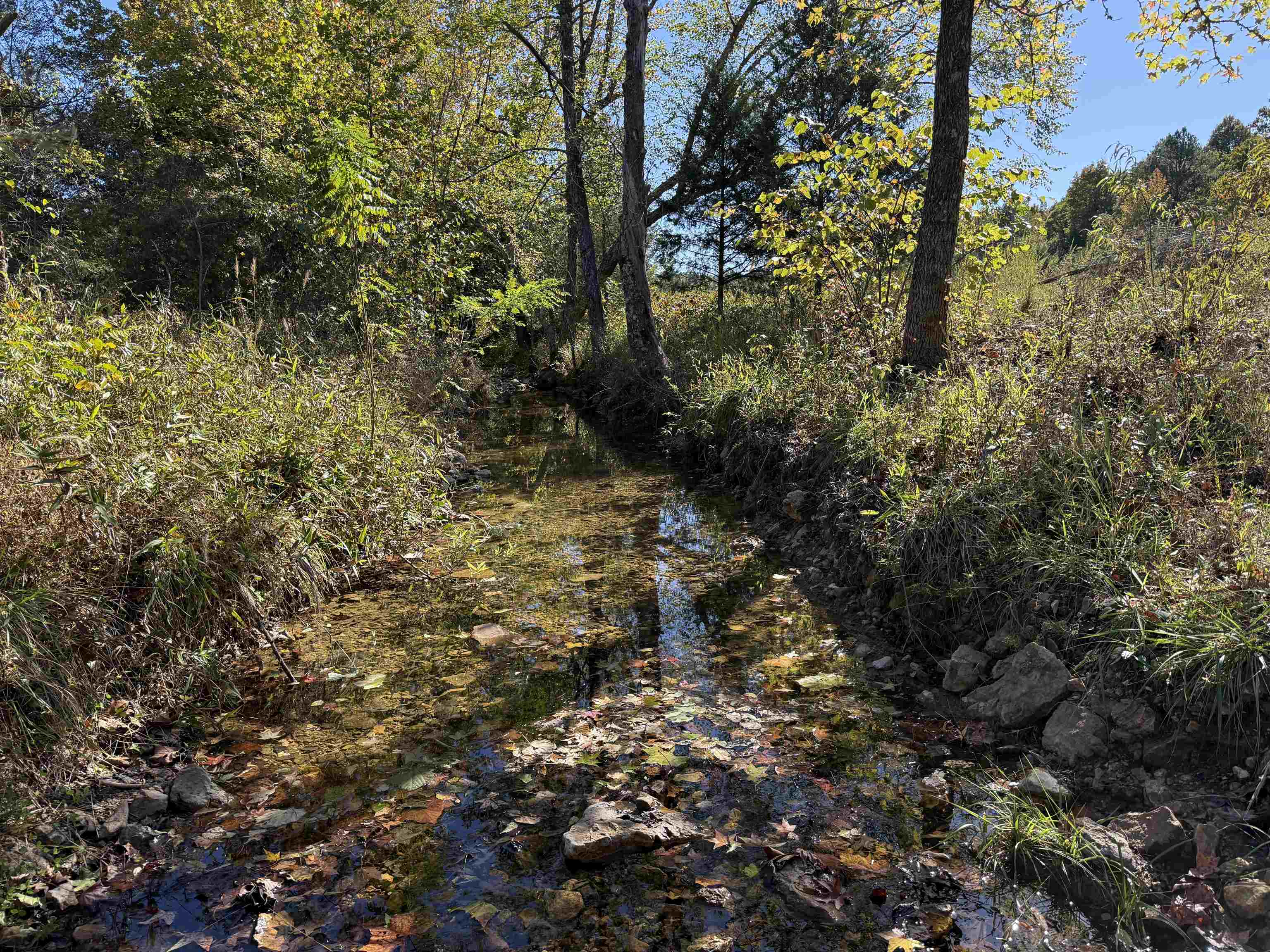 Photo 2 - Vacant Land for sale – 6325  Byron Road   Salem, AR