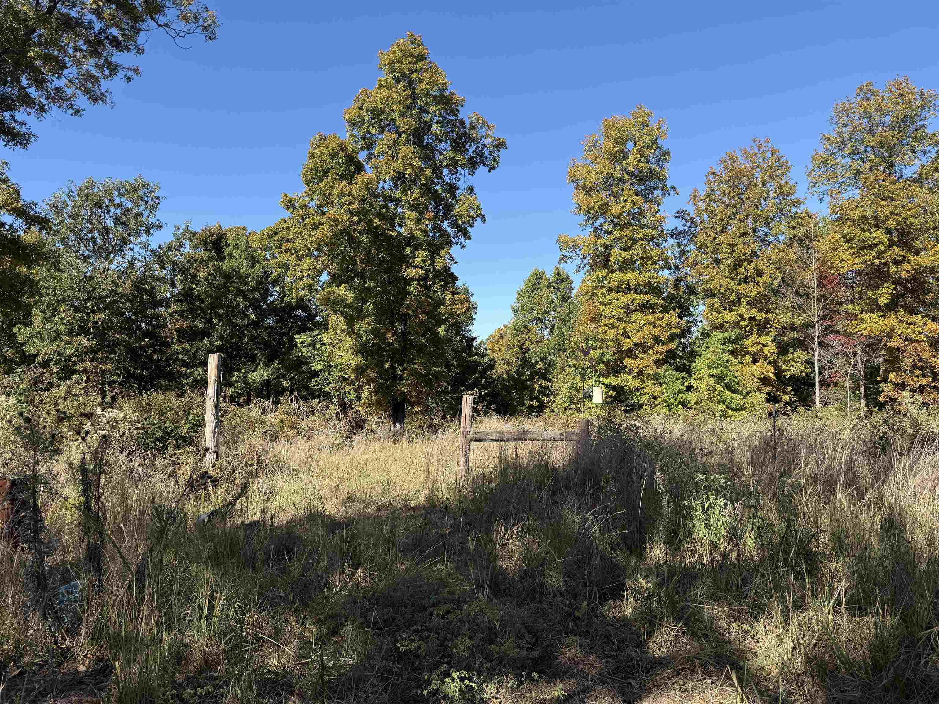 Photo 4 - Vacant Land for sale – 6325  Byron Road   Salem, AR