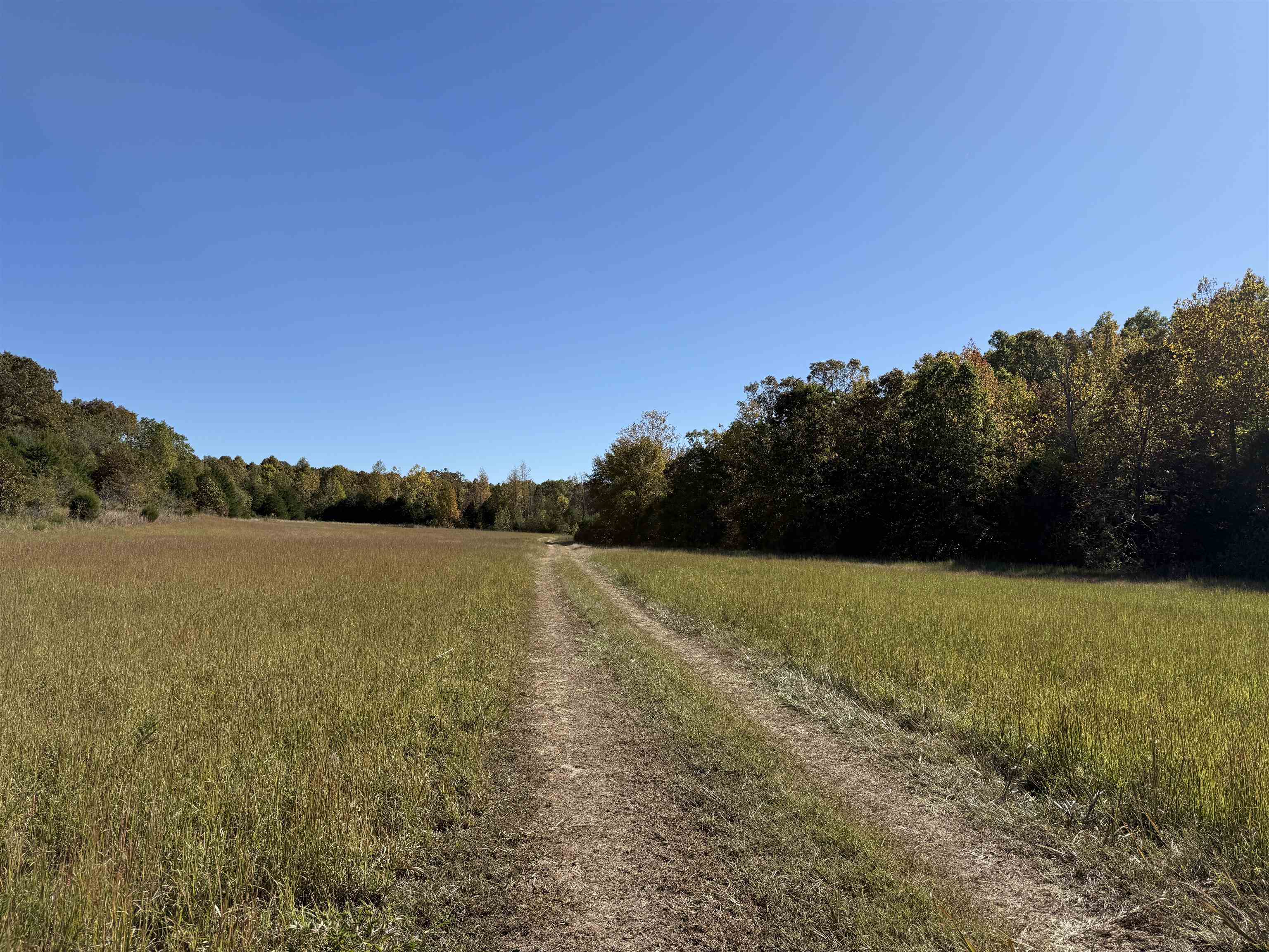 Photo 8 - Vacant Land for sale – 6325  Byron Road   Salem, AR