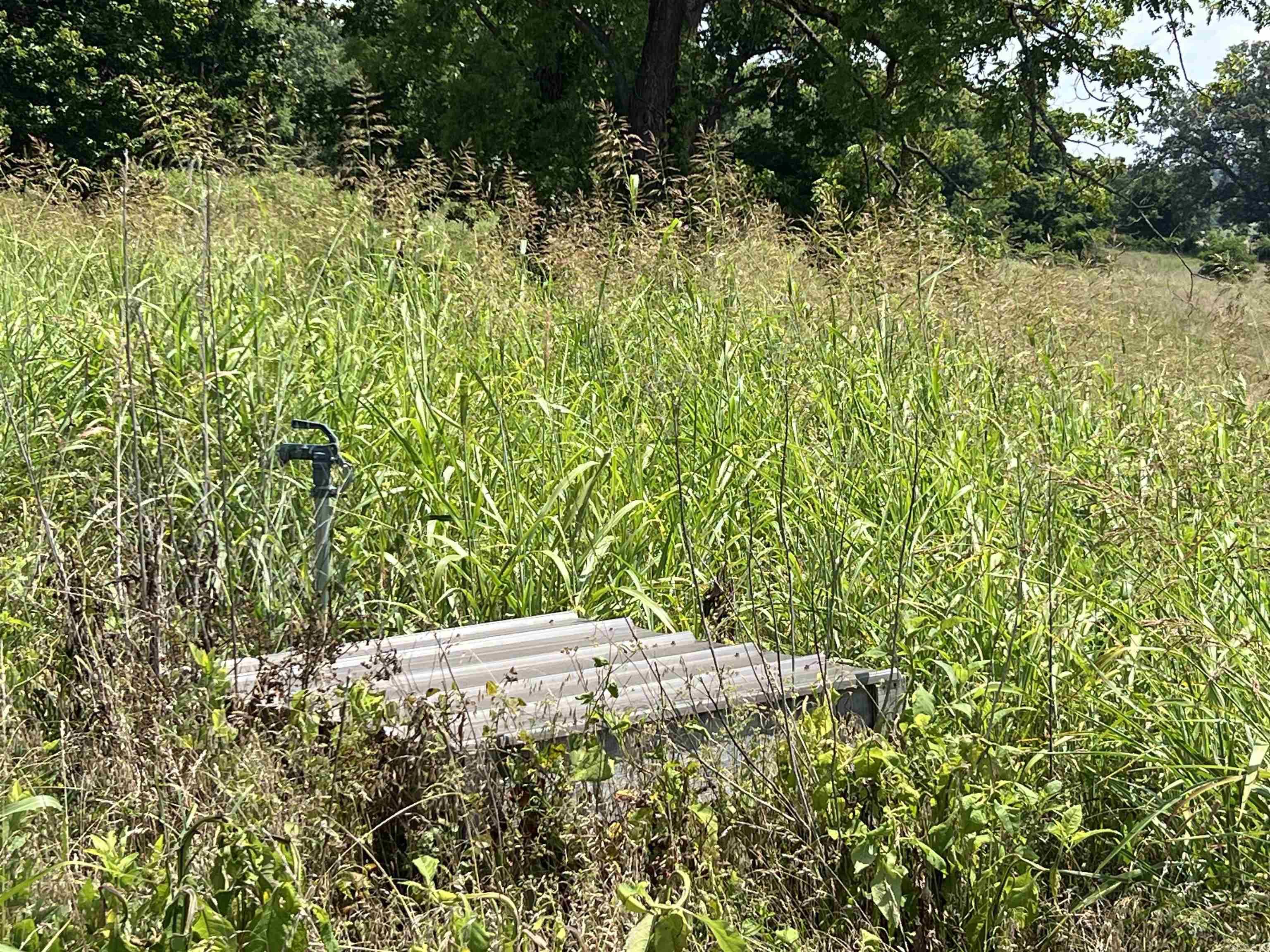 Photo 3 - Vacant Land for sale – 766  Rainbow Valley Trail   Mammoth Spring, AR