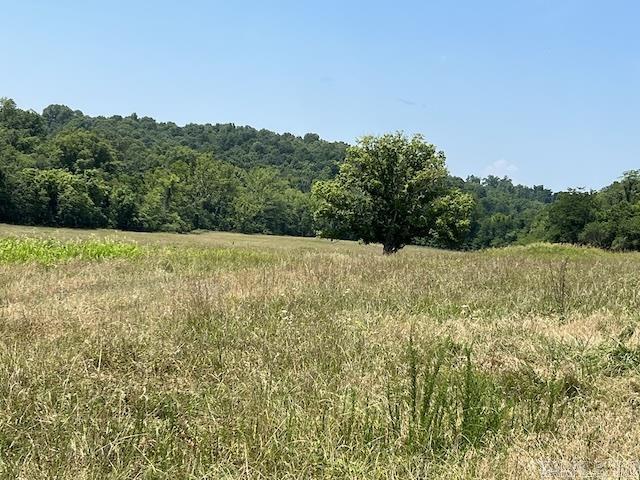 Photo 5 - Vacant Land for sale – 766  Rainbow Valley Trail   Mammoth Spring, AR