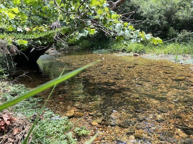 Photo 7 - Vacant Land for sale – 766  Rainbow Valley Trail   Mammoth Spring, AR