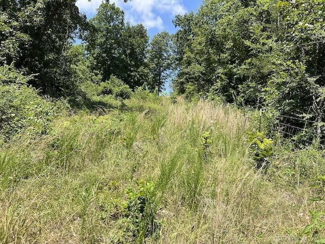 Photo 9 - Vacant Land for sale – 766  Rainbow Valley Trail   Mammoth Spring, AR