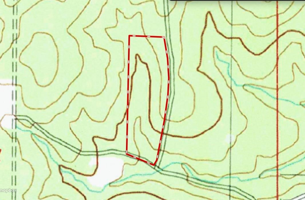 Photo 3 - Vacant Land for sale – TBD  Dearborn Ln   Salem, AR