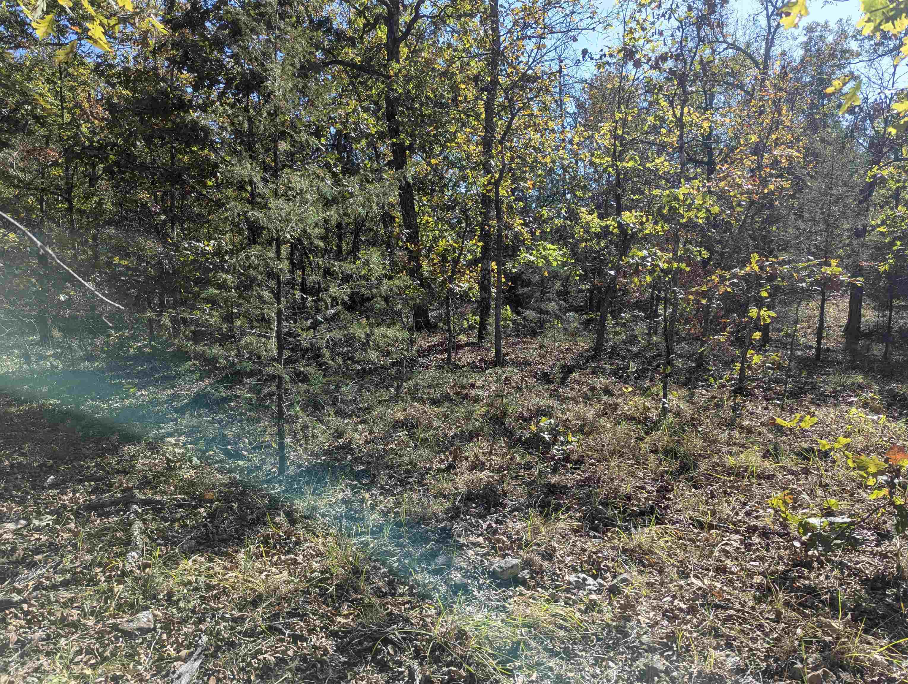 Photo 5 - Vacant Land for sale – TBD  Dearborn Ln   Salem, AR