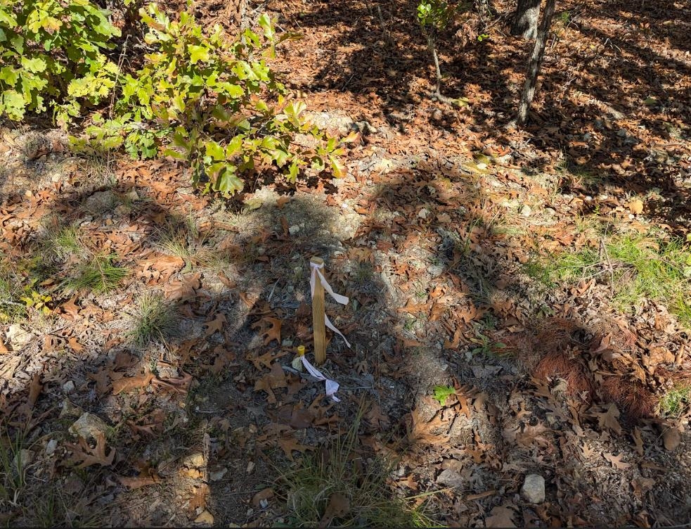 Vacant Land for sale – TBD  Driftwood Rd   Salem, AR