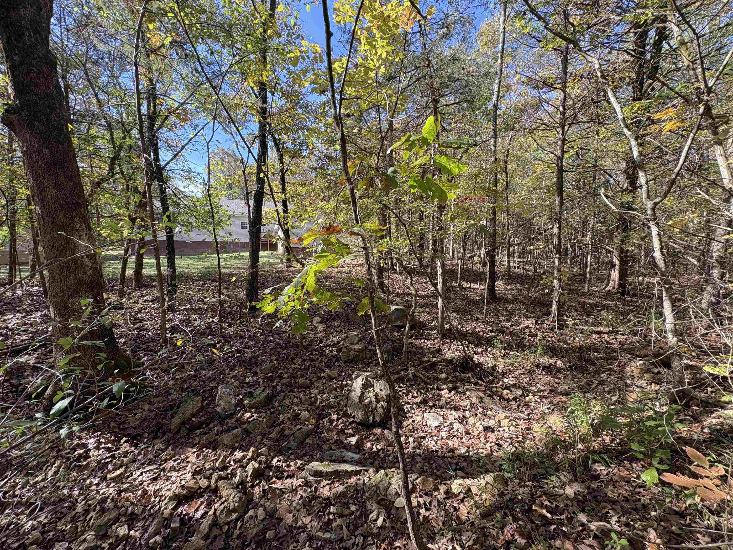 Photo 39 - Residential for sale – 11  Katta   Cherokee Village, AR