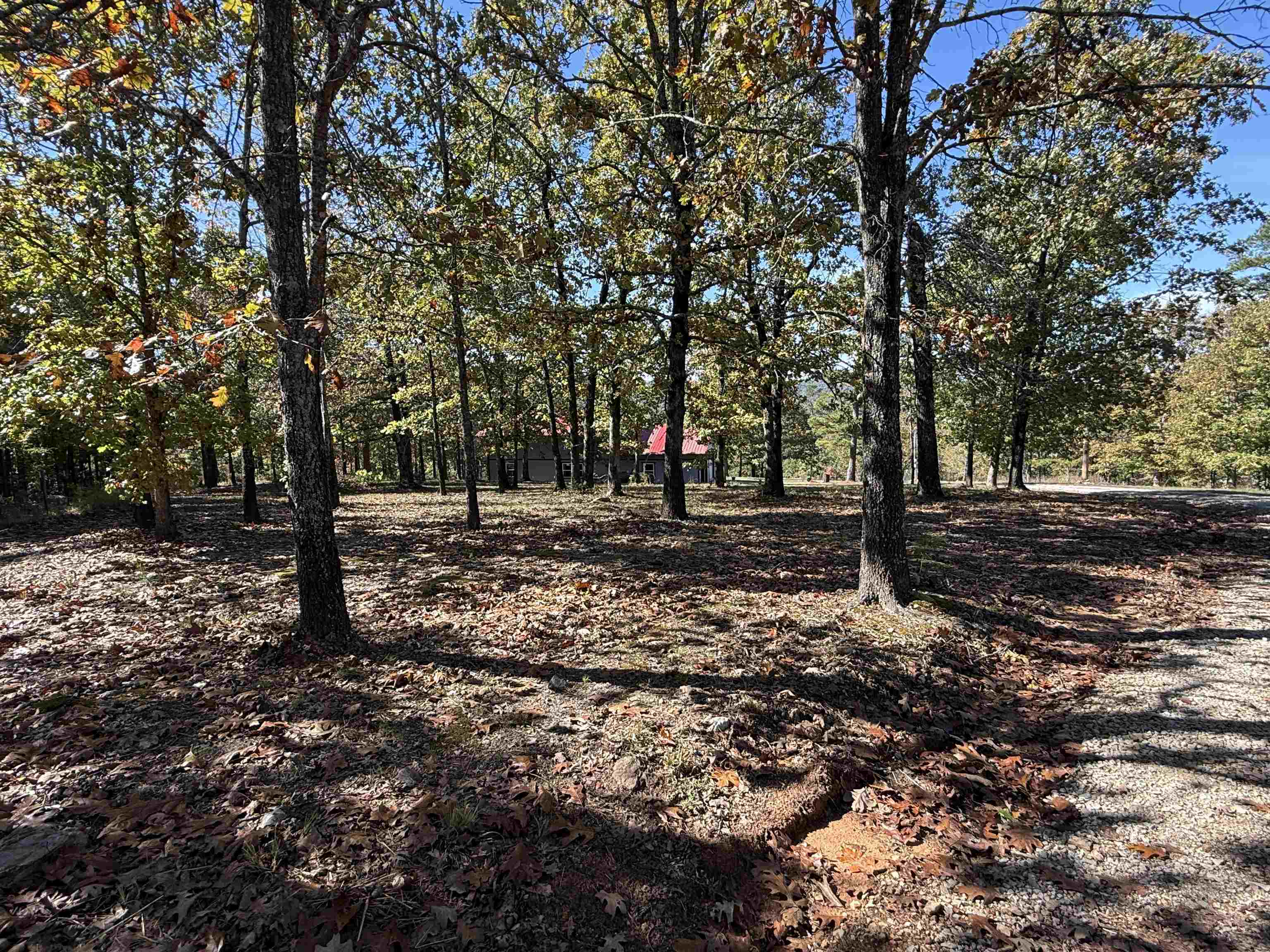 Photo 40 - Residential for sale – 760  Red Fern Road   Melbourne, AR