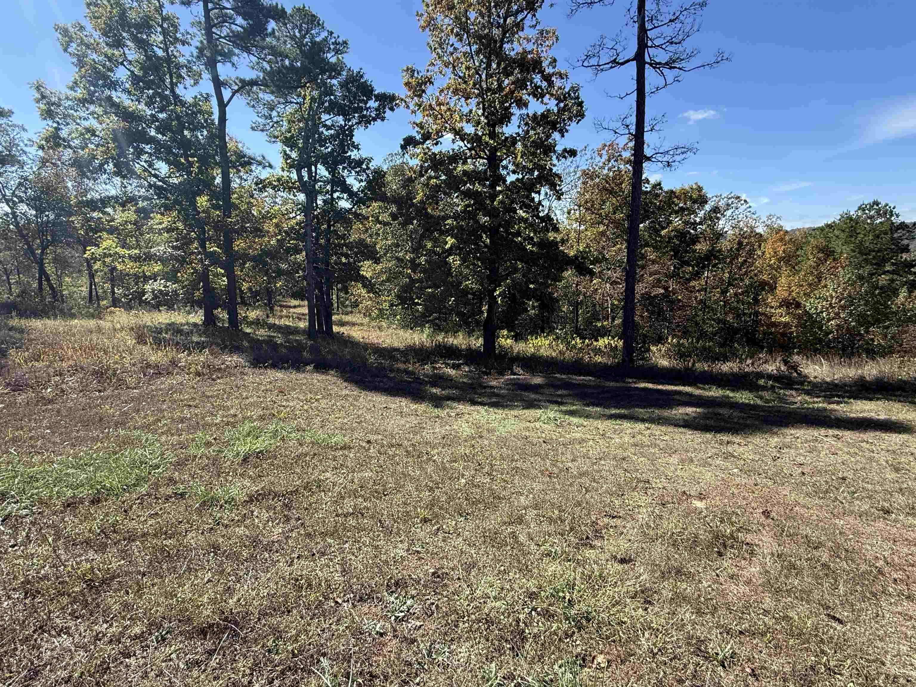 Photo 41 - Residential for sale – 760  Red Fern Road   Melbourne, AR