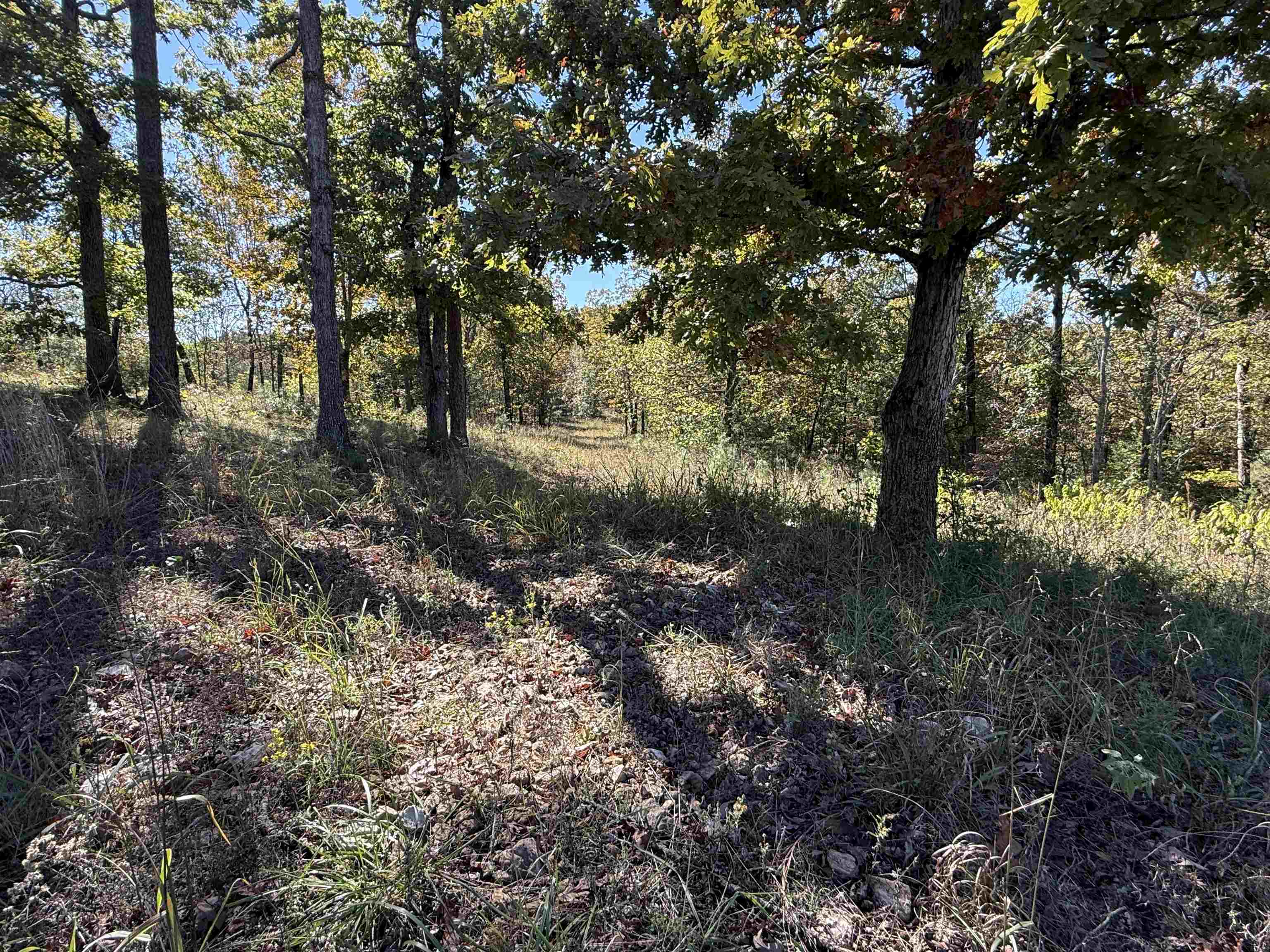 Photo 42 - Residential for sale – 760  Red Fern Road   Melbourne, AR