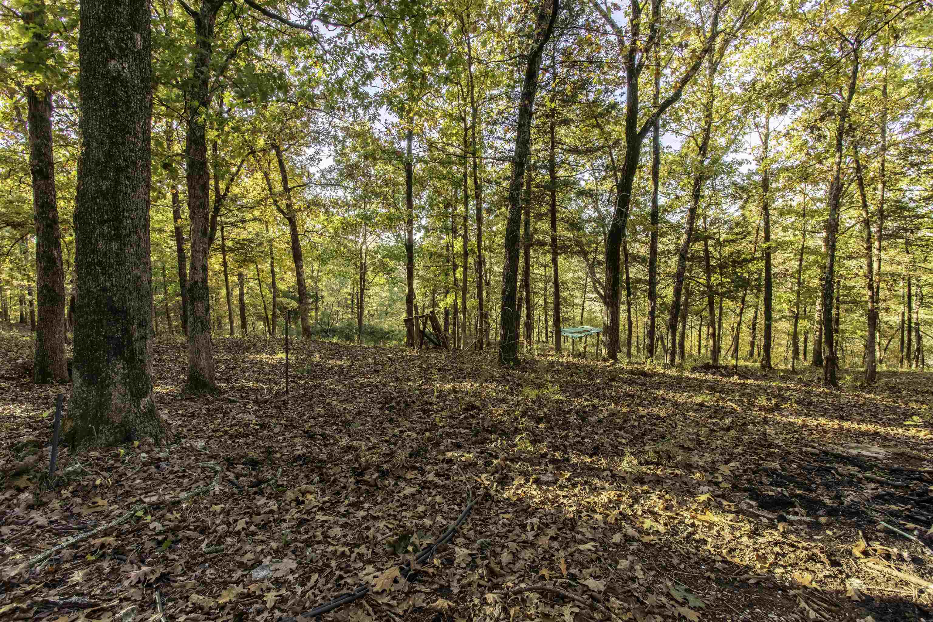 Photo 31 - Residential for sale – 29  Fawn Ridge   Williford, AR