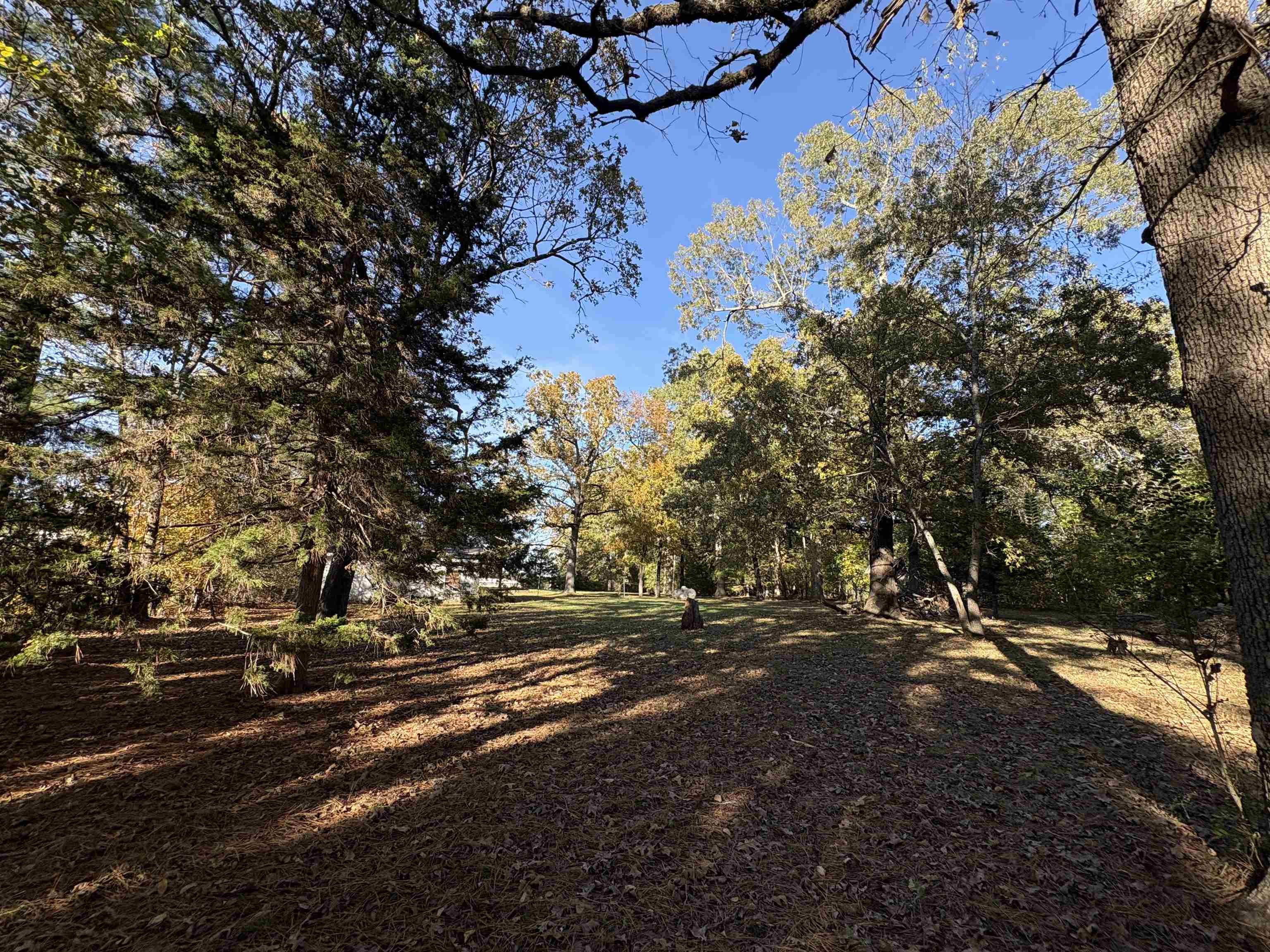 Photo 17 - Commercial / Industrial for sale – 1734  Highway 62/412   Highland, AR