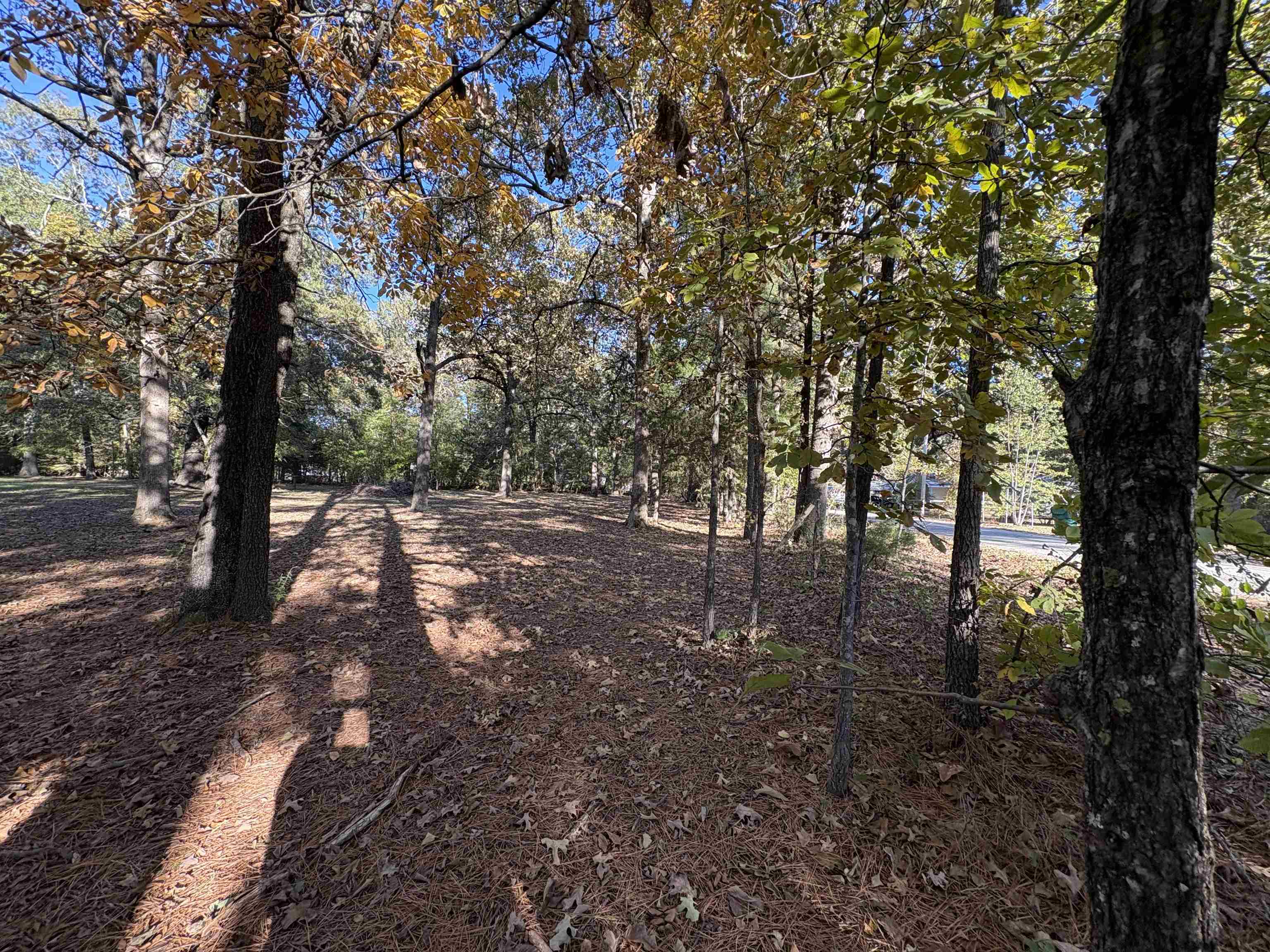 Photo 18 - Commercial / Industrial for sale – 1734  Highway 62/412   Highland, AR