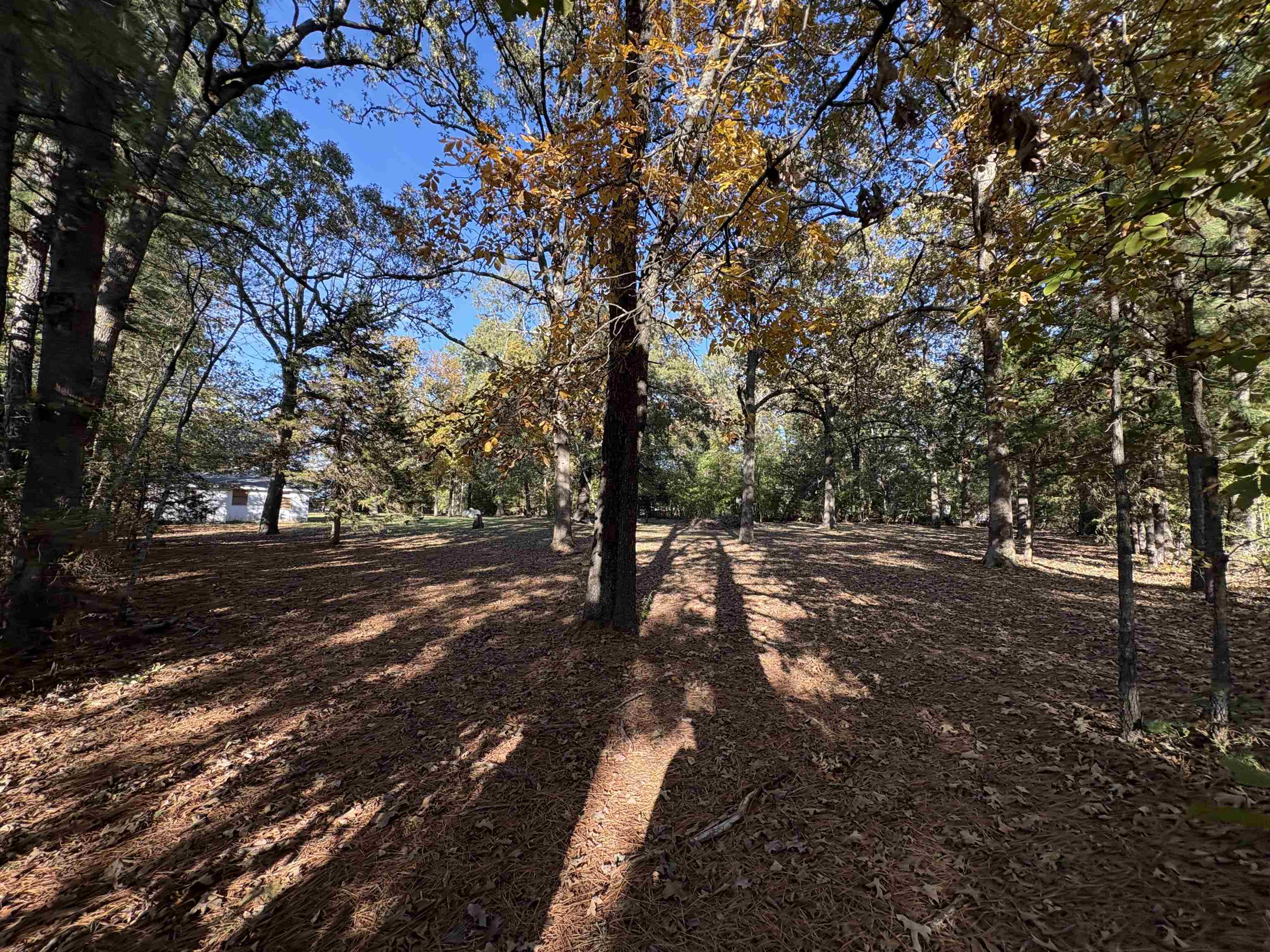 Photo 19 - Commercial / Industrial for sale – 1734  Highway 62/412   Highland, AR