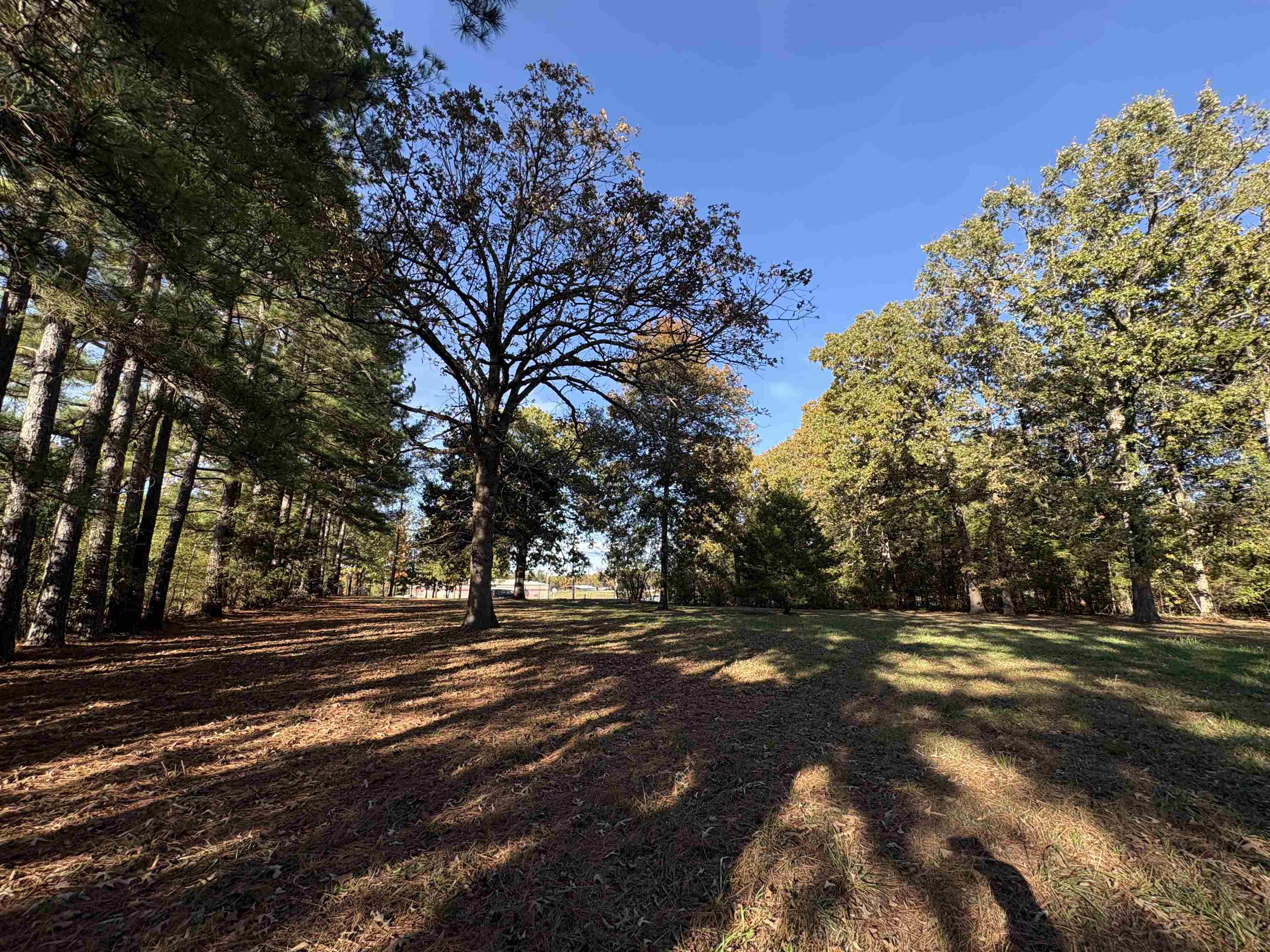 Photo 3 - Commercial / Industrial for sale – 1734  Highway 62/412   Highland, AR