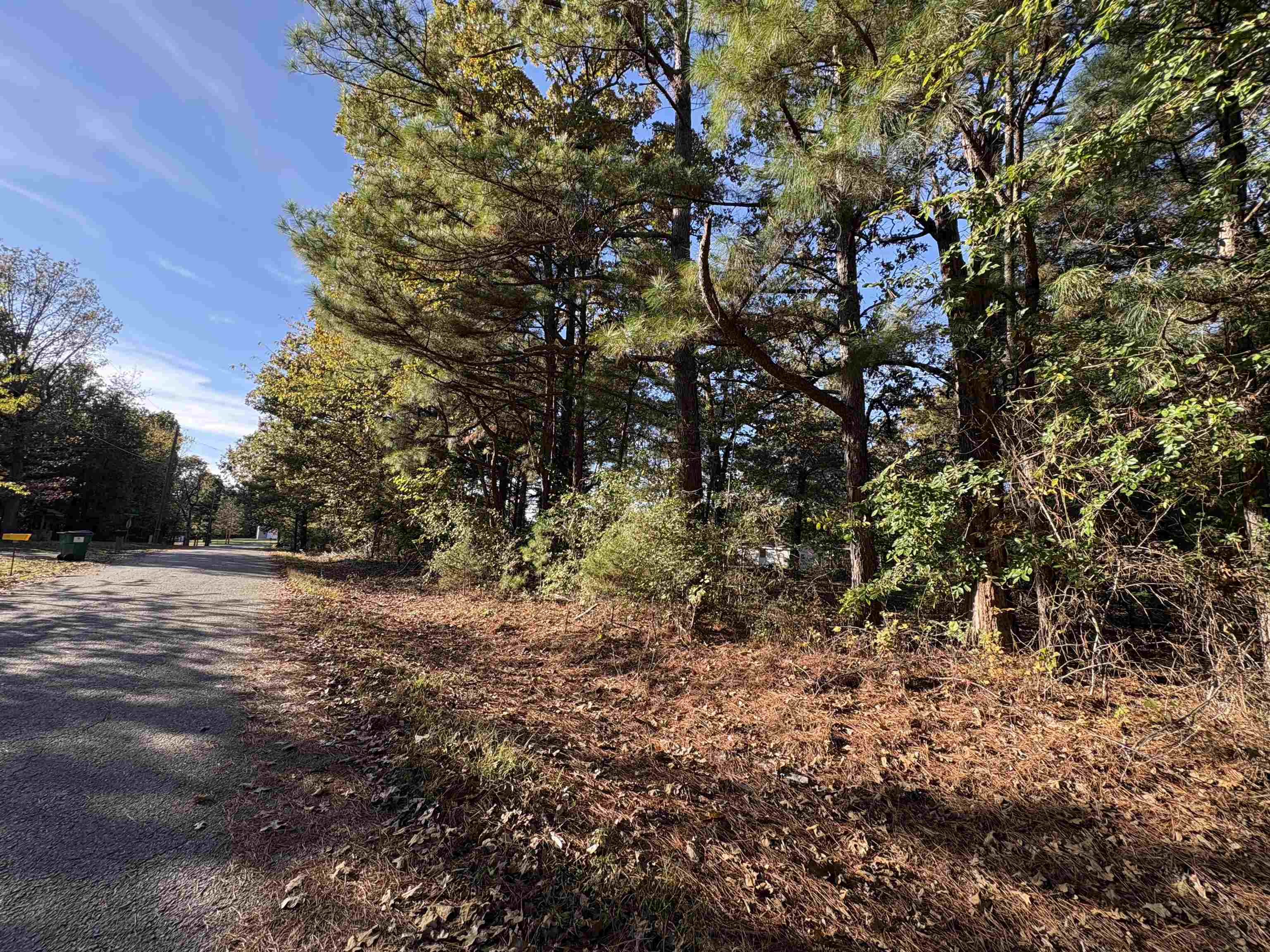 Photo 21 - Commercial / Industrial for sale – 1734  Highway 62/412   Highland, AR