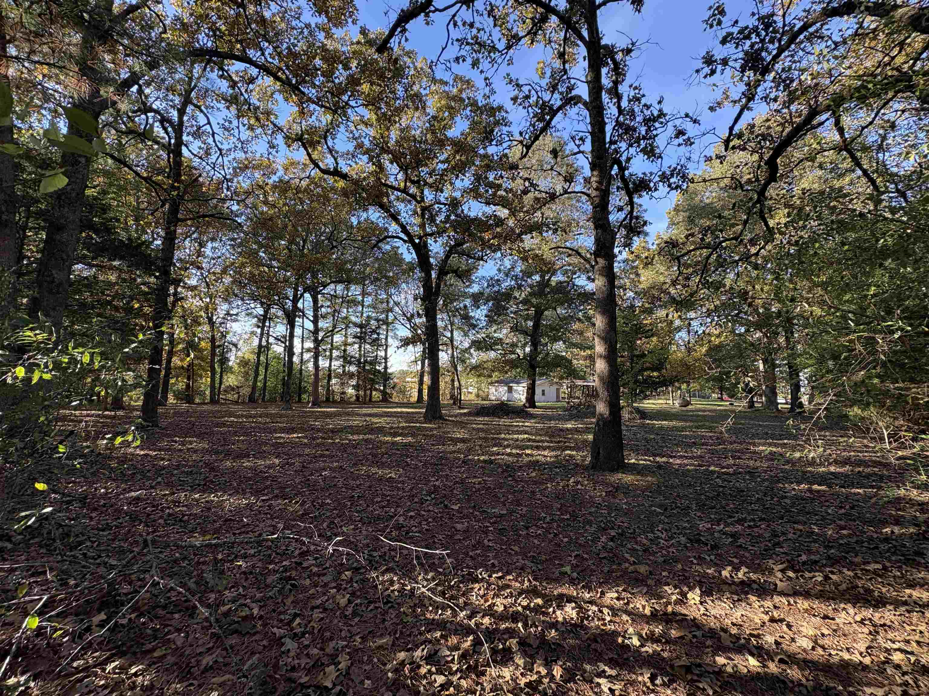 Photo 22 - Commercial / Industrial for sale – 1734  Highway 62/412   Highland, AR