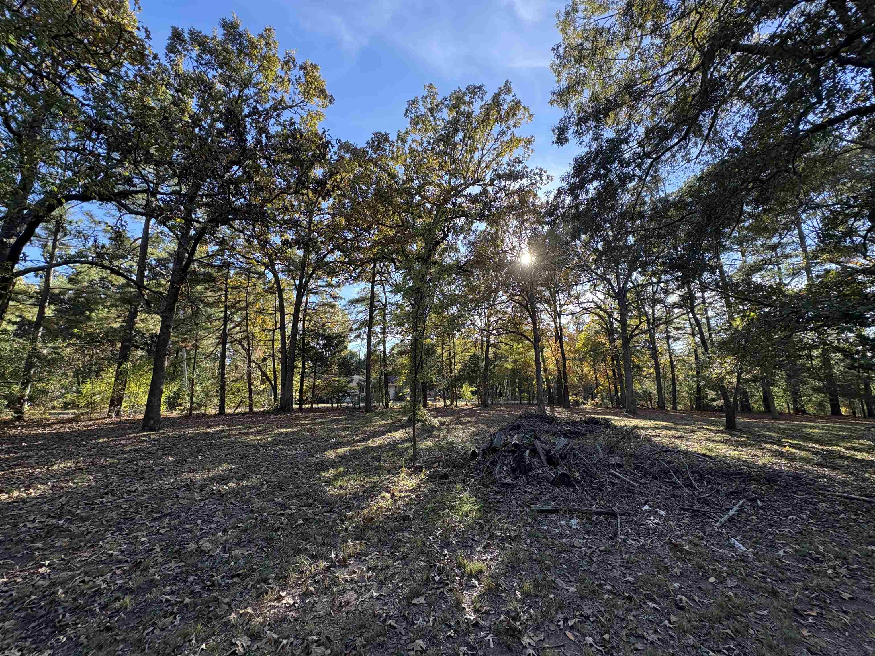 Photo 24 - Commercial / Industrial for sale – 1734  Highway 62/412   Highland, AR