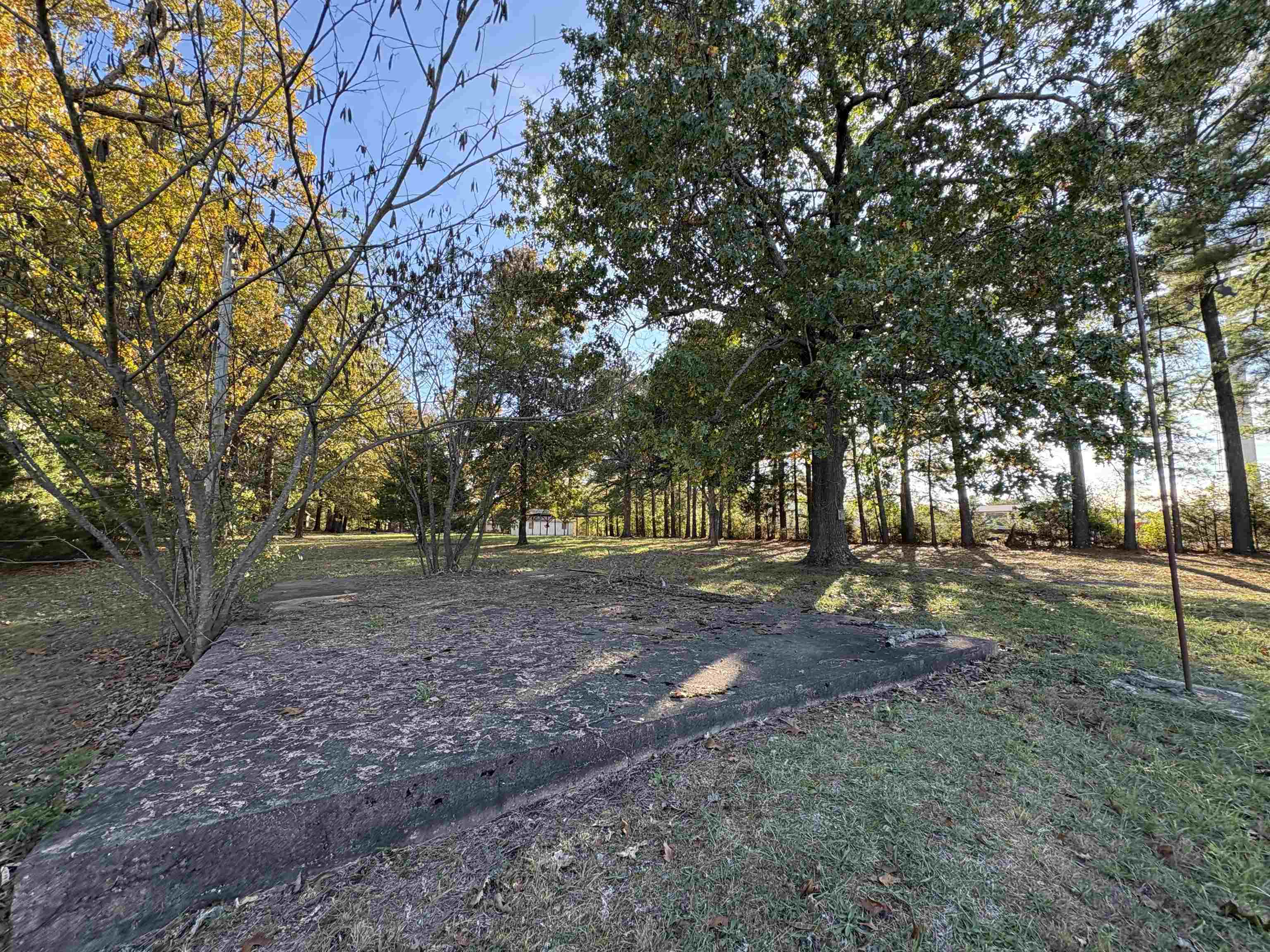 Photo 10 - Commercial / Industrial for sale – 1734  Highway 62/412   Highland, AR