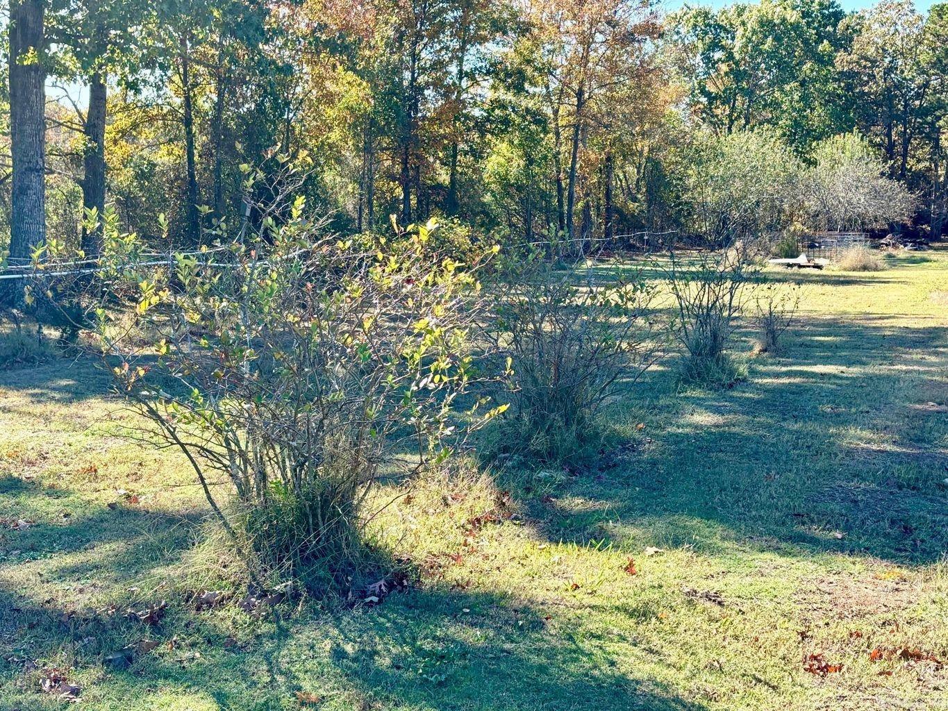 Photo 46 - Residential for sale – 15  White Oak   Pleasant Plains, AR