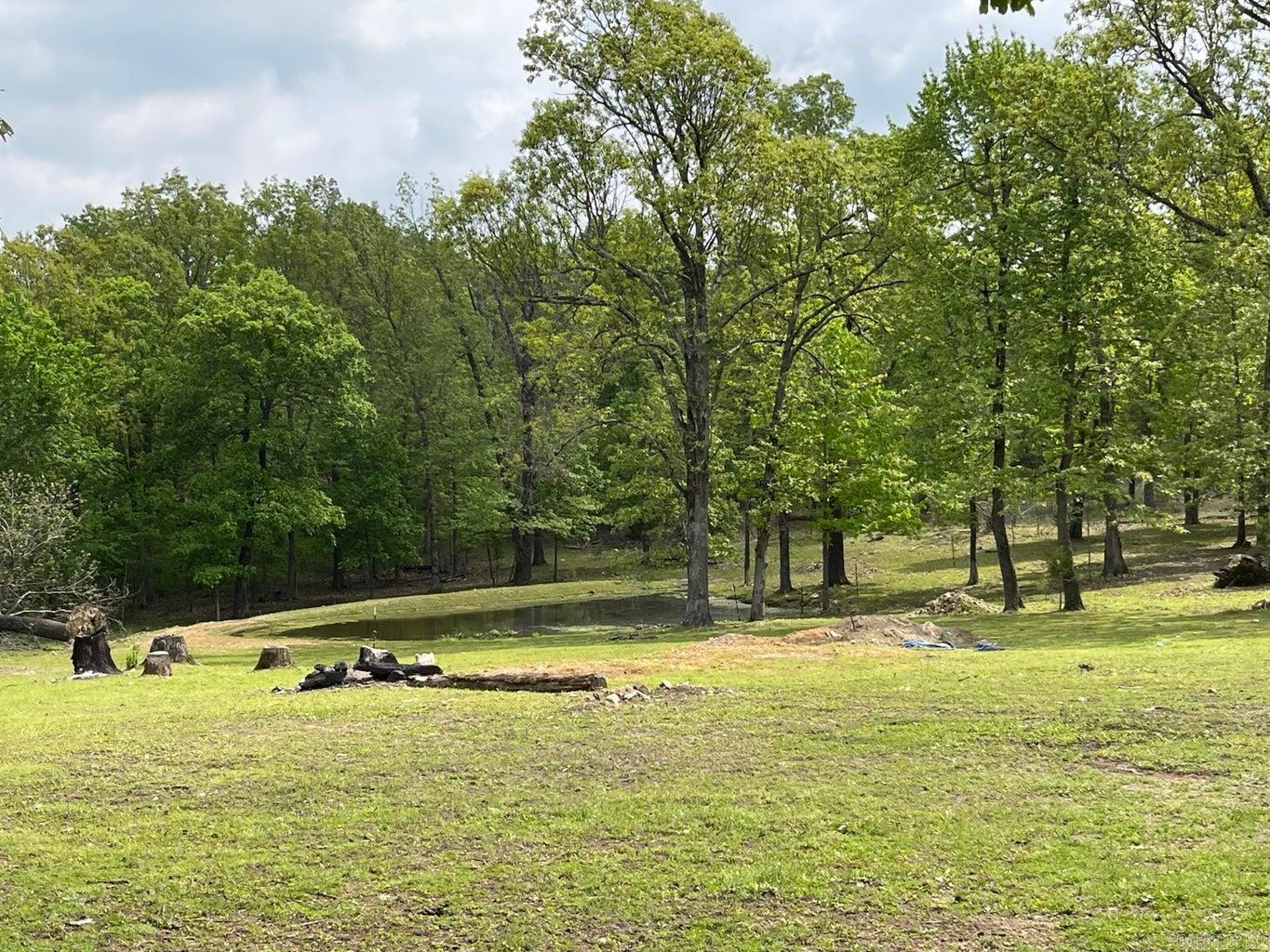 Photo 48 - Residential for sale – 3630  Hwy 167   Ash Flat, AR