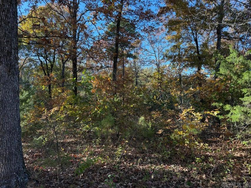 Vacant Land for sale – 3980  Blackland   Pleasant Plains, AR