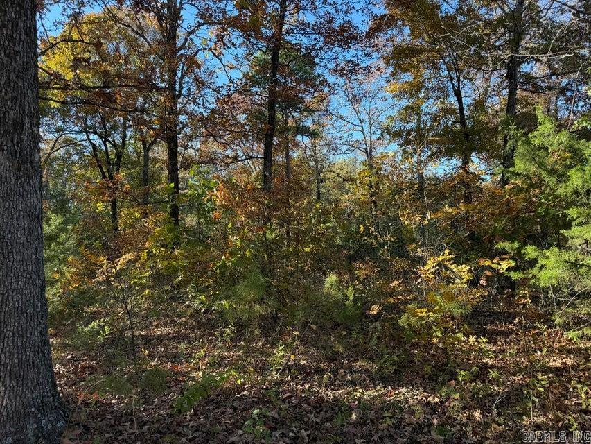 Photo 2 - Vacant Land for sale – 3980  Blackland   Pleasant Plains, AR