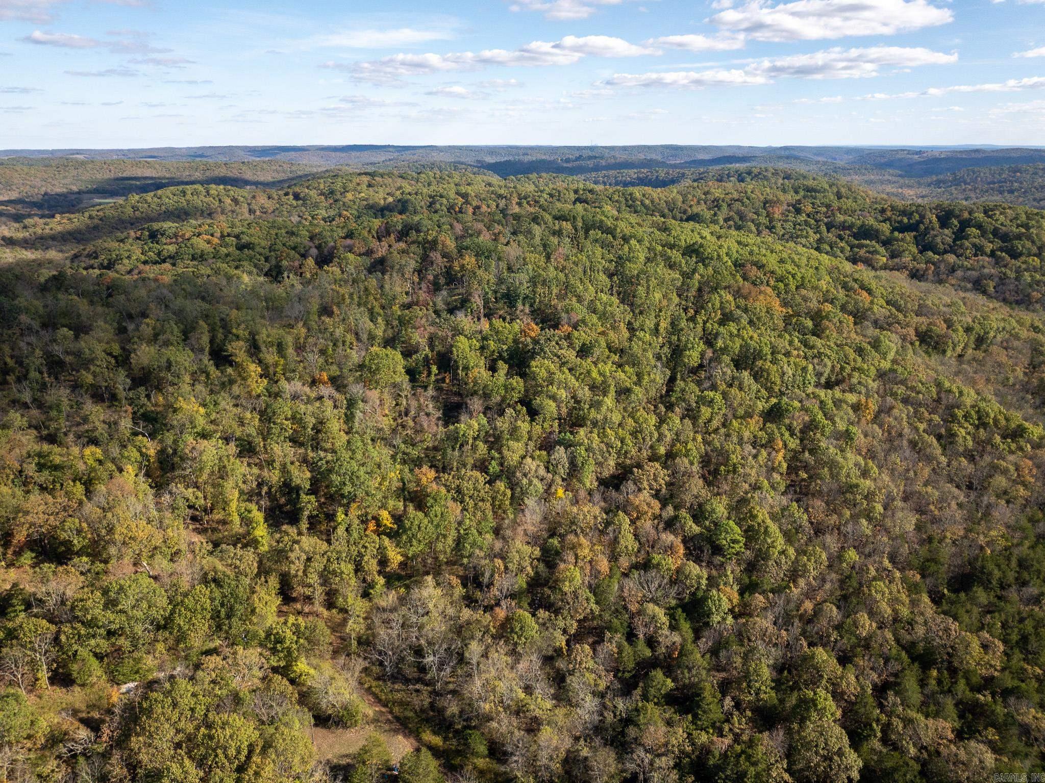 Photo 2 - Vacant Land for sale – 000  Sandtown   Cushman, AR