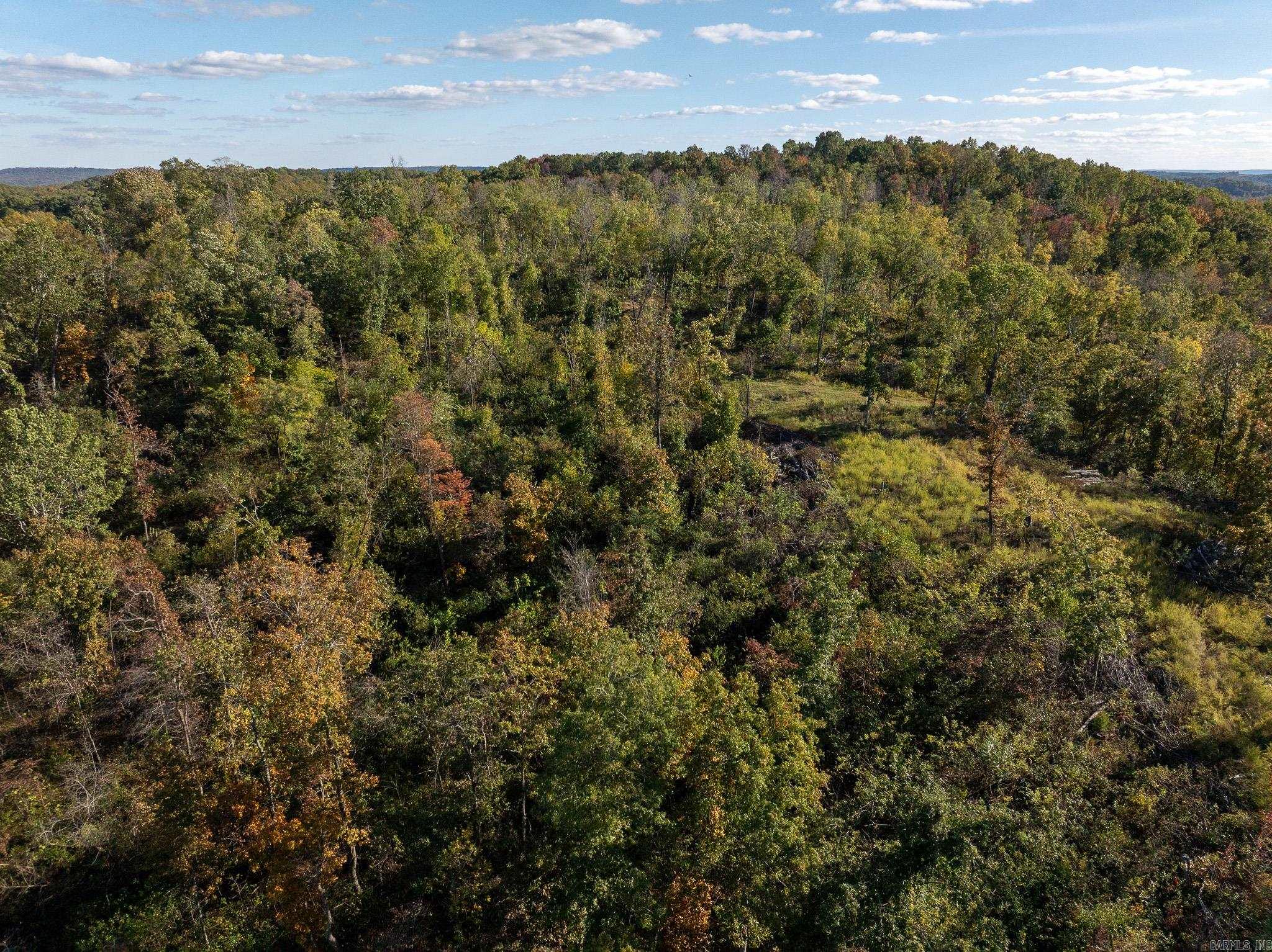 Photo 11 - Vacant Land for sale – 000  Sandtown   Cushman, AR